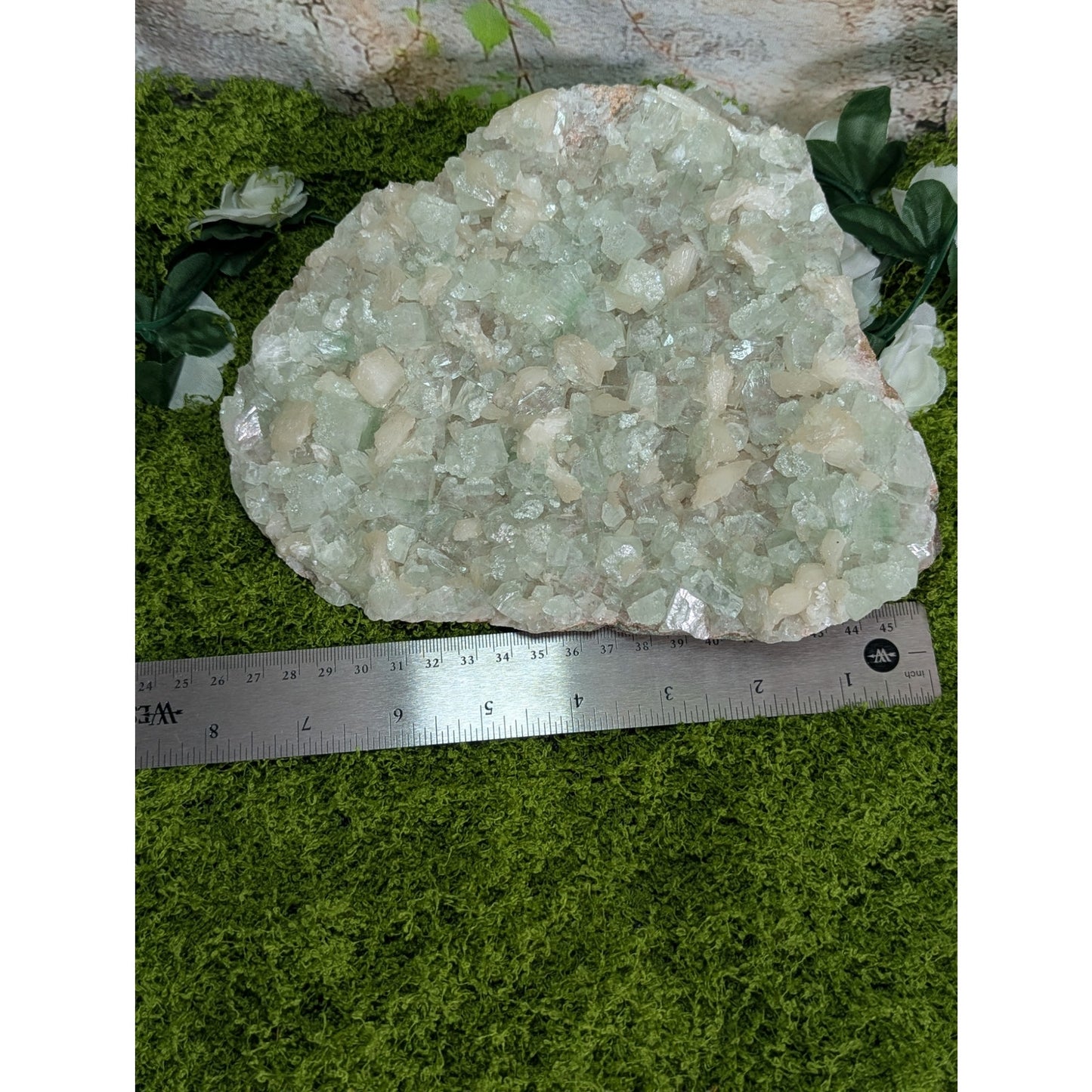 Green and Pink Apophyllite Druzy Specimen India Crystal Cabinet with Stilbite