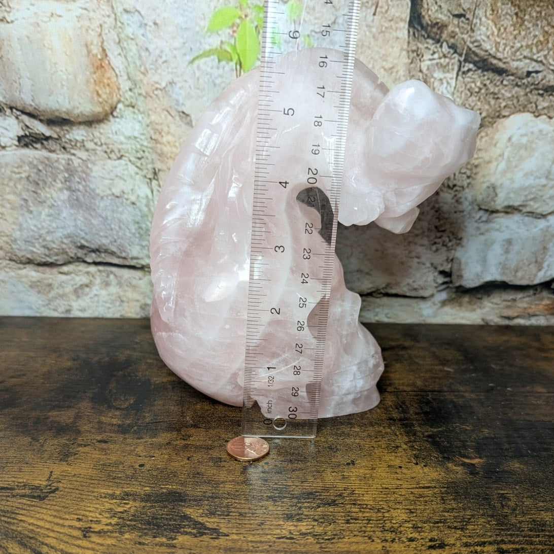 Statement Piece Dinosaur on Skull Rose Quartz crystal carving decoration witchy