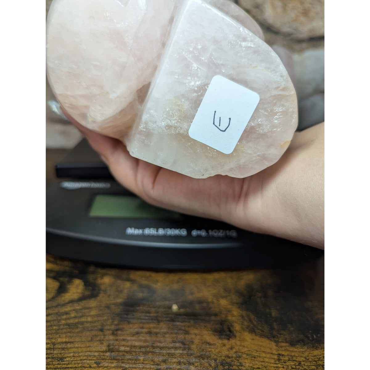 Statement Piece Dinosaur on Skull Rose Quartz crystal carving decoration witchy