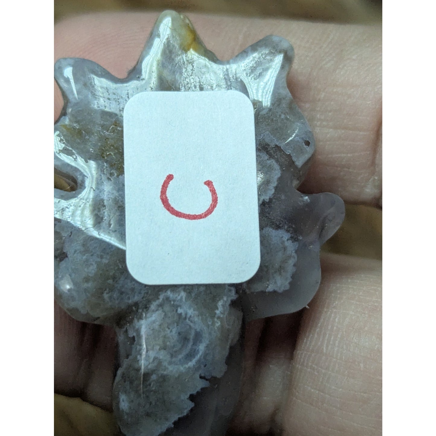 Flower Agate Sea Turtle Crystal Witch Mini Witchy Familiar Quartz Chalcedony