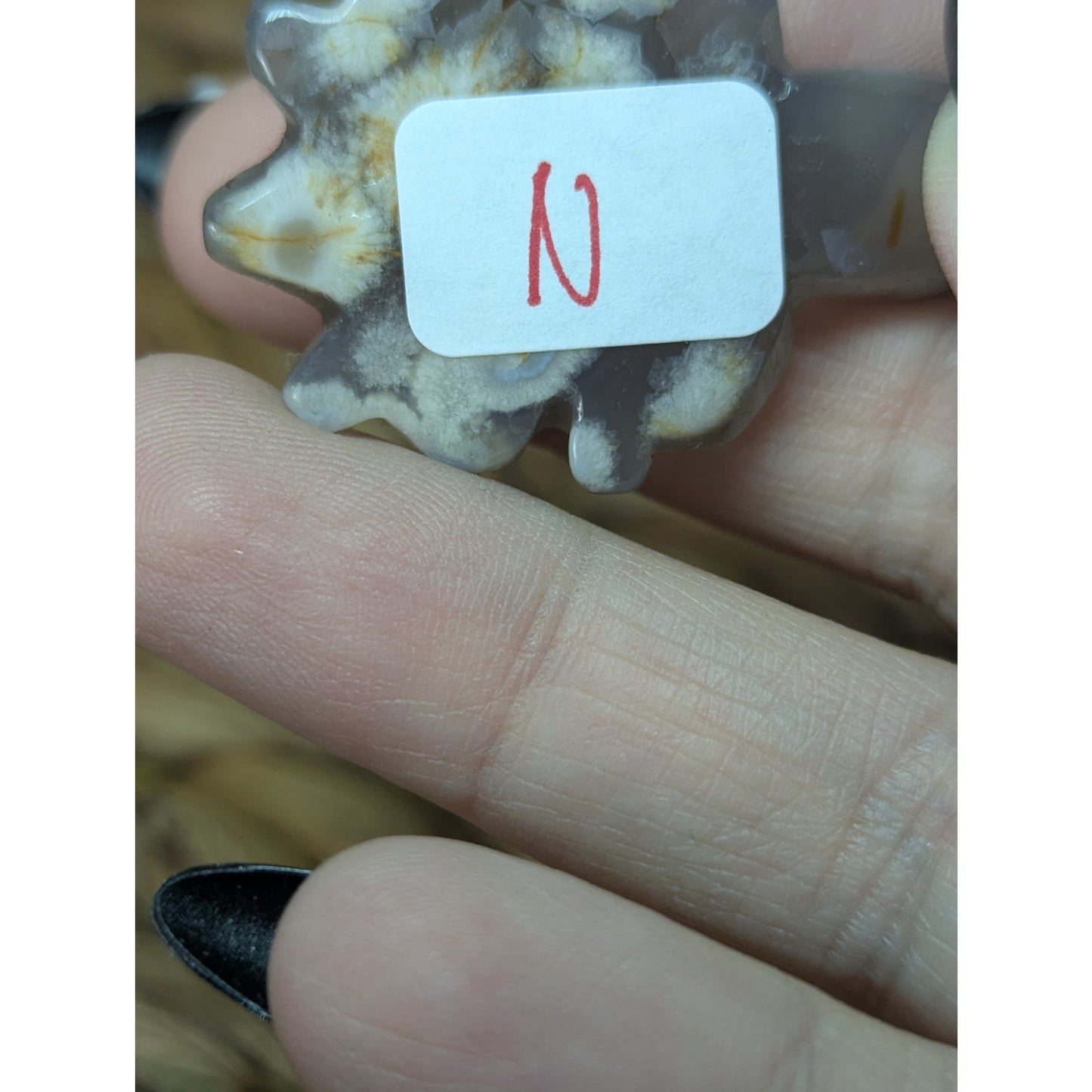 Flower Agate Sea Turtle Crystal Witch Mini Witchy Familiar Quartz Chalcedony