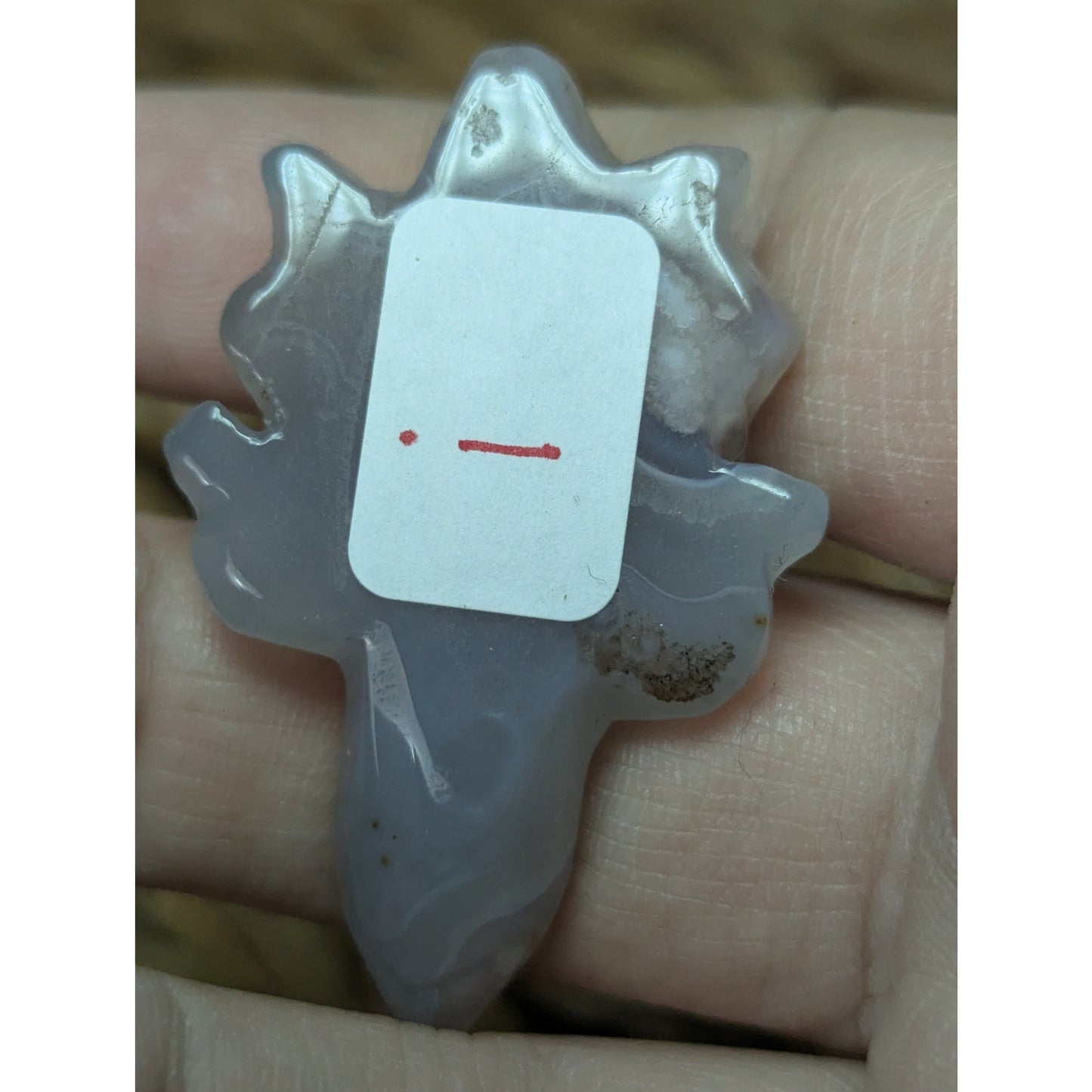 Flower Agate Sea Turtle Crystal Witch Mini Witchy Familiar Quartz Chalcedony