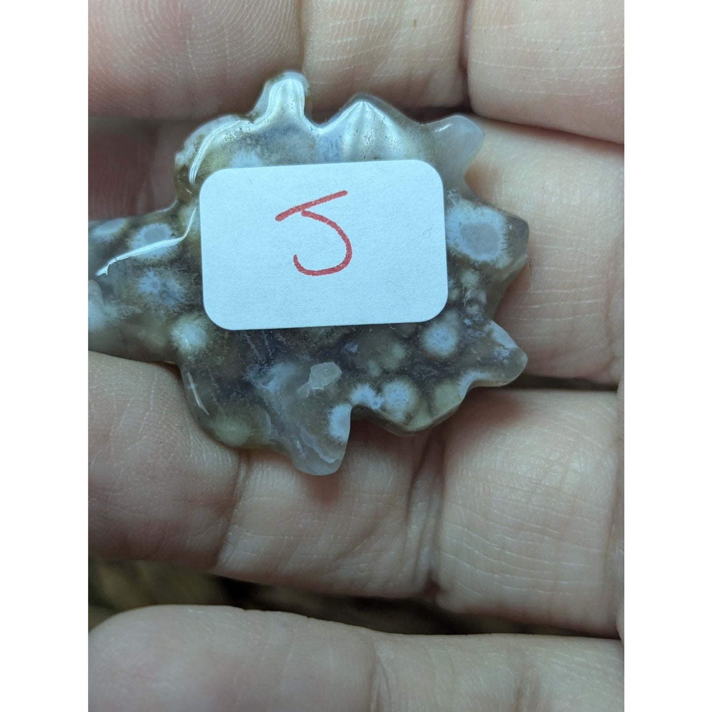 Flower Agate Sea Turtle Crystal Witch Mini Witchy Familiar Quartz Chalcedony