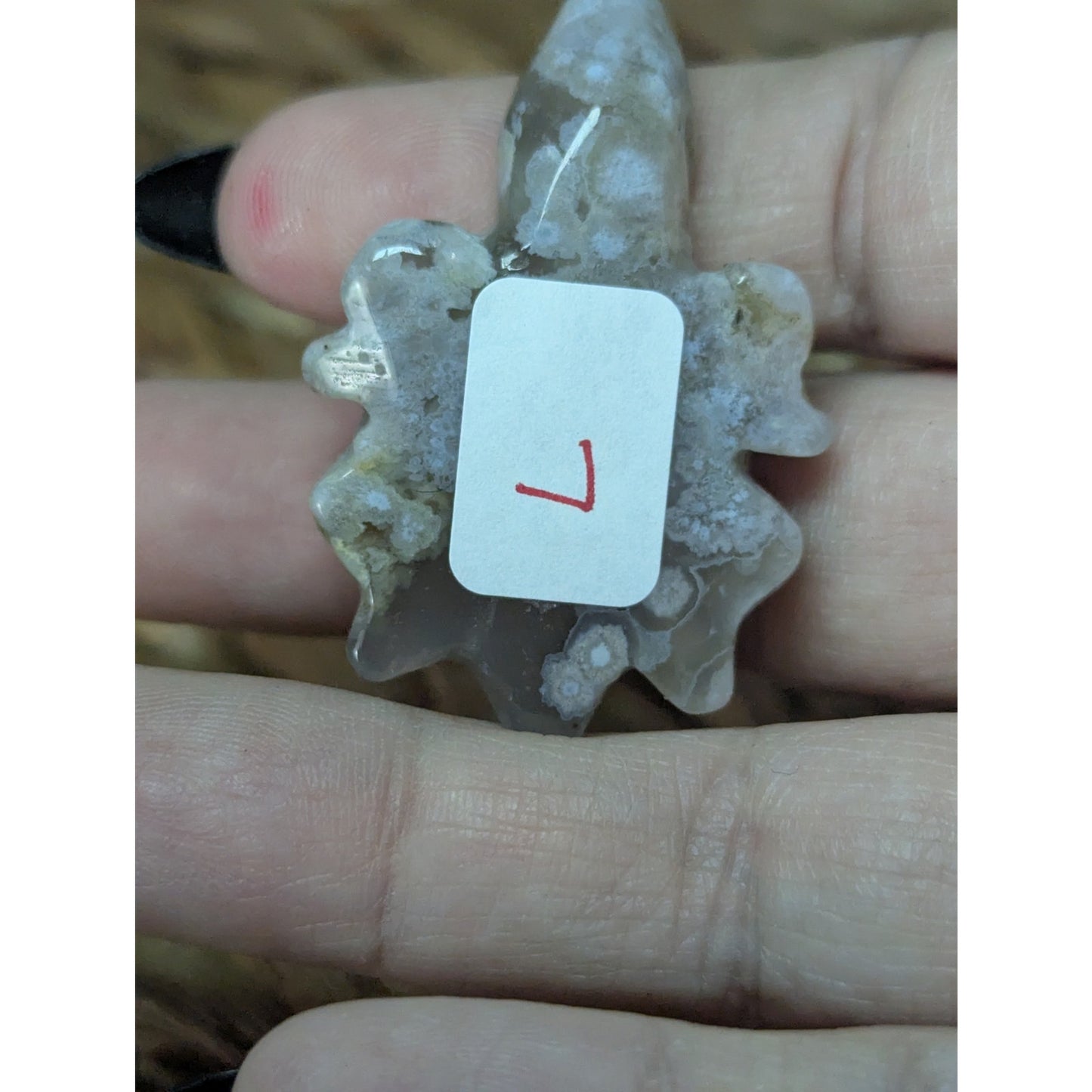 Flower Agate Sea Turtle Crystal Witch Mini Witchy Familiar Quartz Chalcedony
