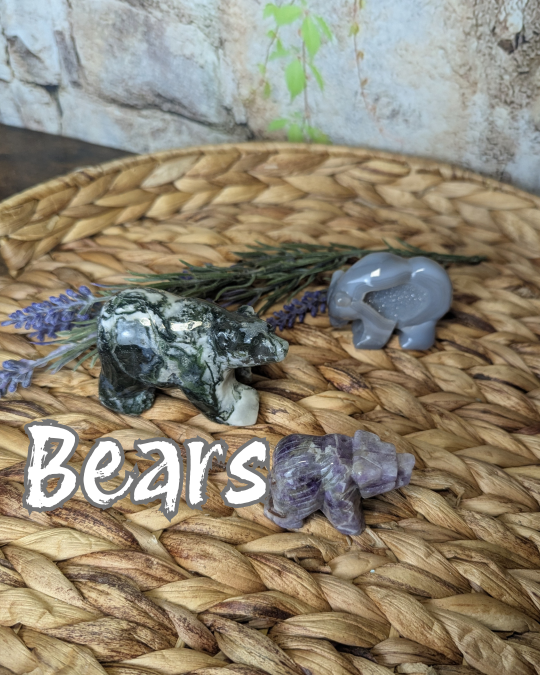Bears
