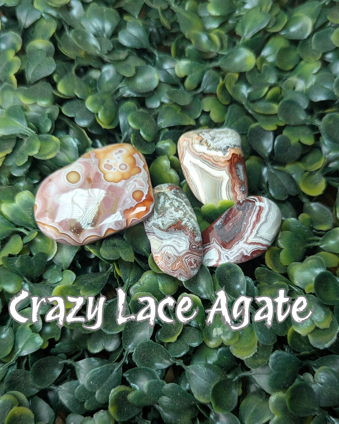 Crazy Lace Agate