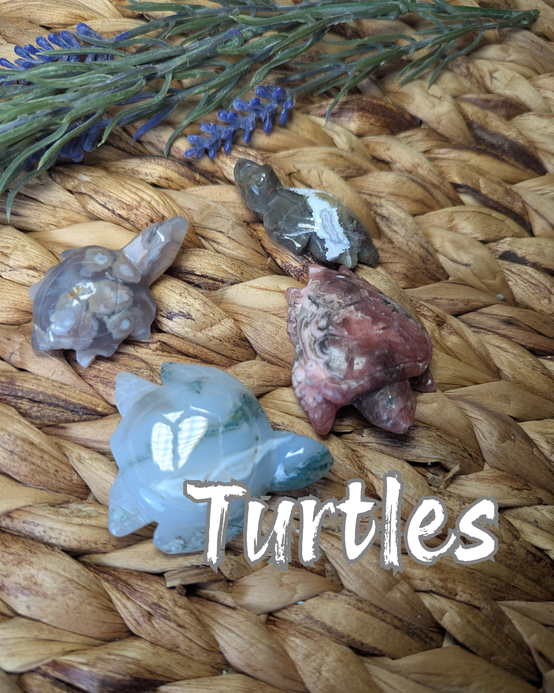Turtle