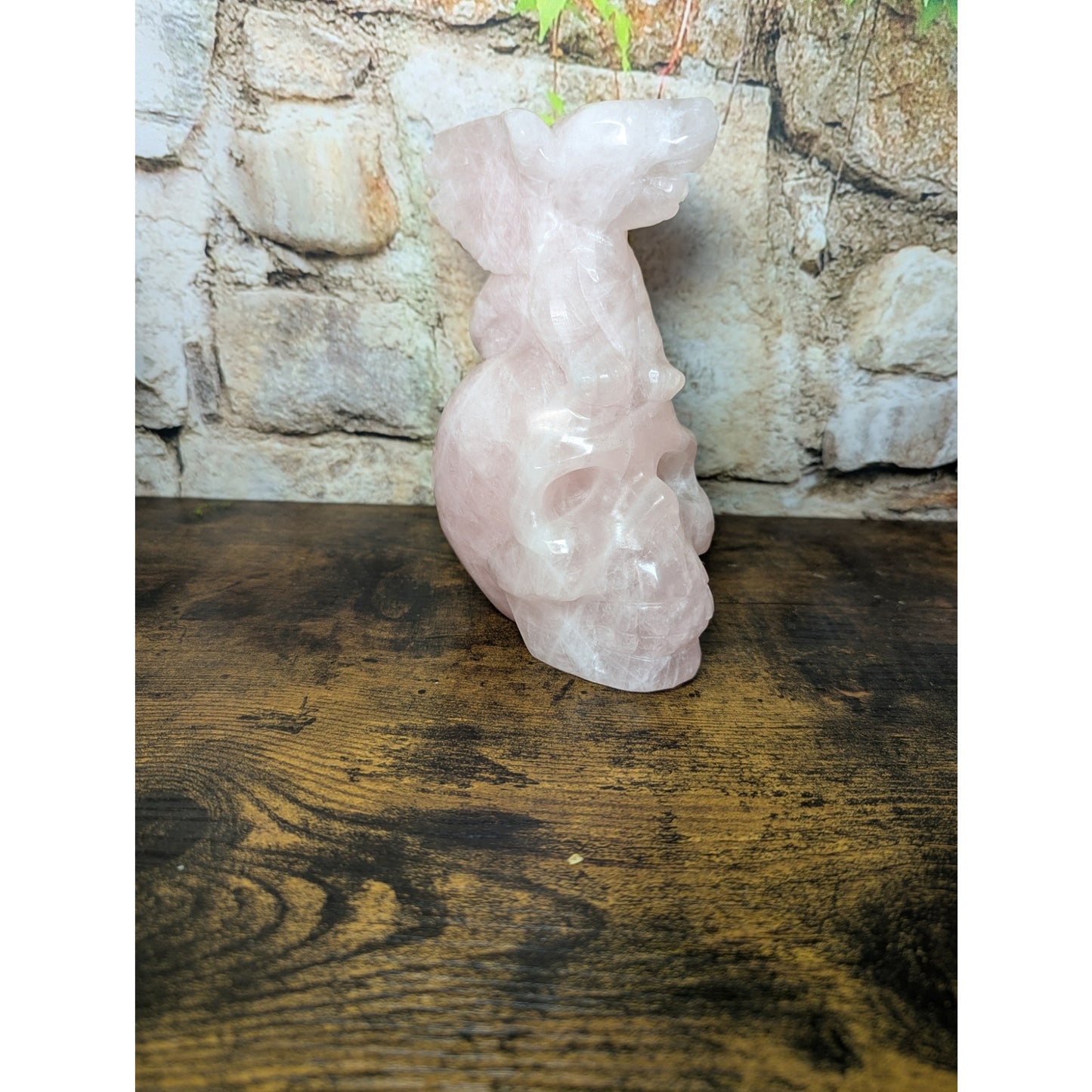 Statement Sized Gargoyle on Skull Rose Quartz crystal carving decoration witch