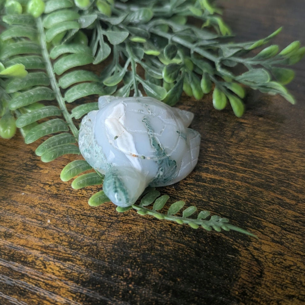 Moss Agate Sea Turtle Crystal Witchy Familiar Summer Beach Metaphysical