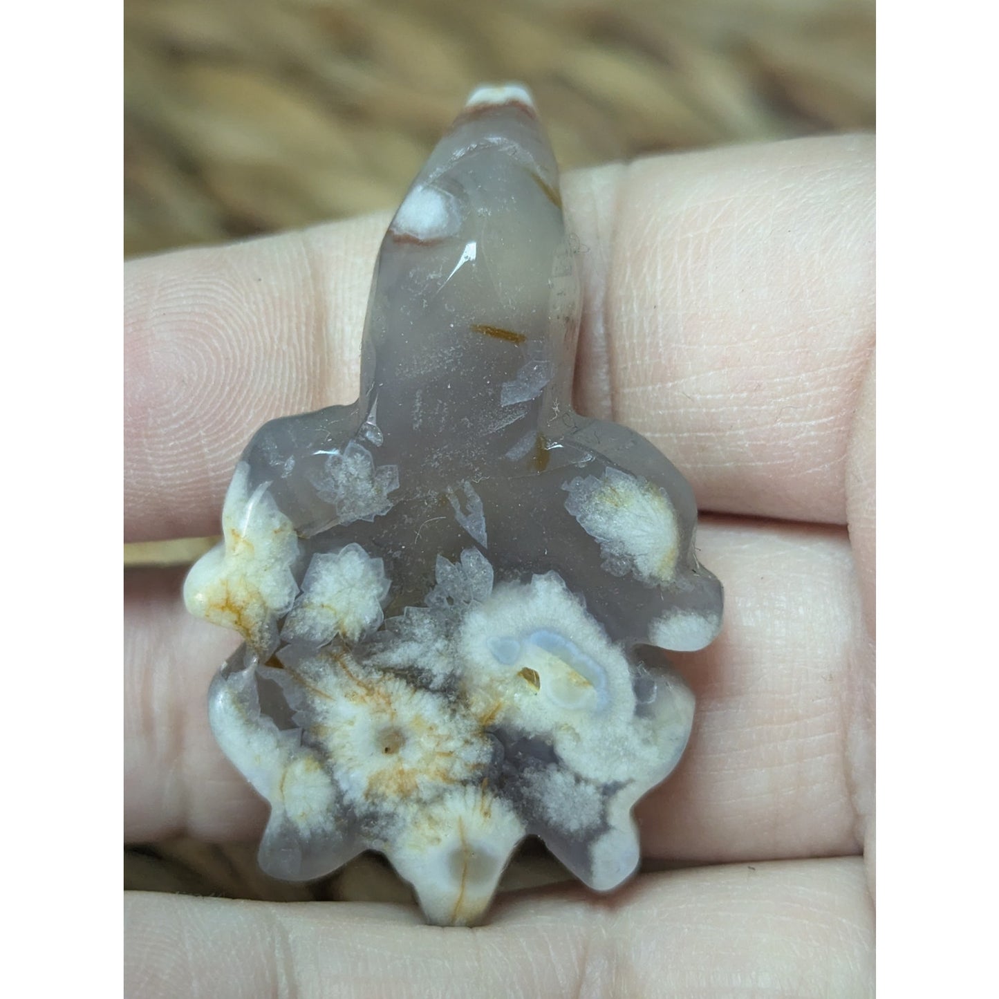 Flower Agate Sea Turtle Crystal Witch Mini Witchy Familiar Quartz Chalcedony