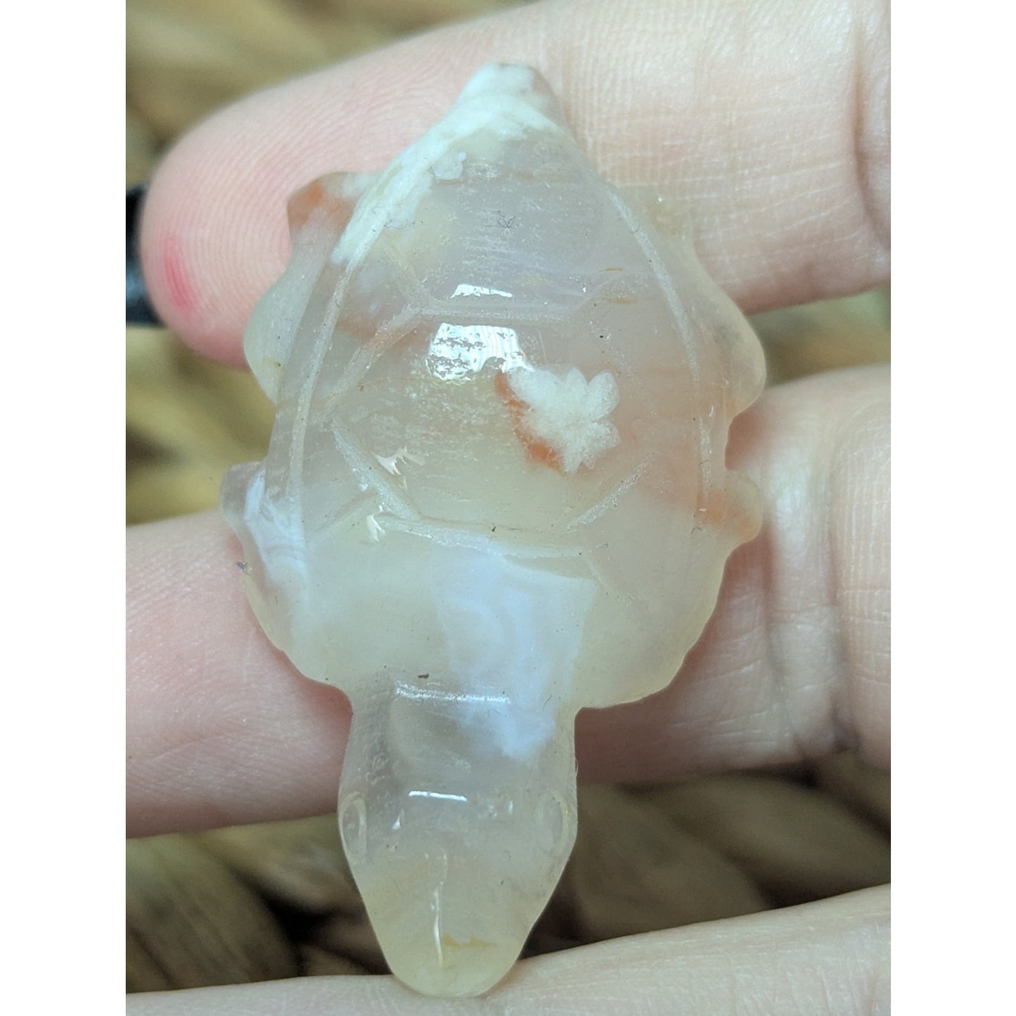 Flower Agate Sea Turtle Crystal Witch Mini Witchy Familiar Quartz Chalcedony