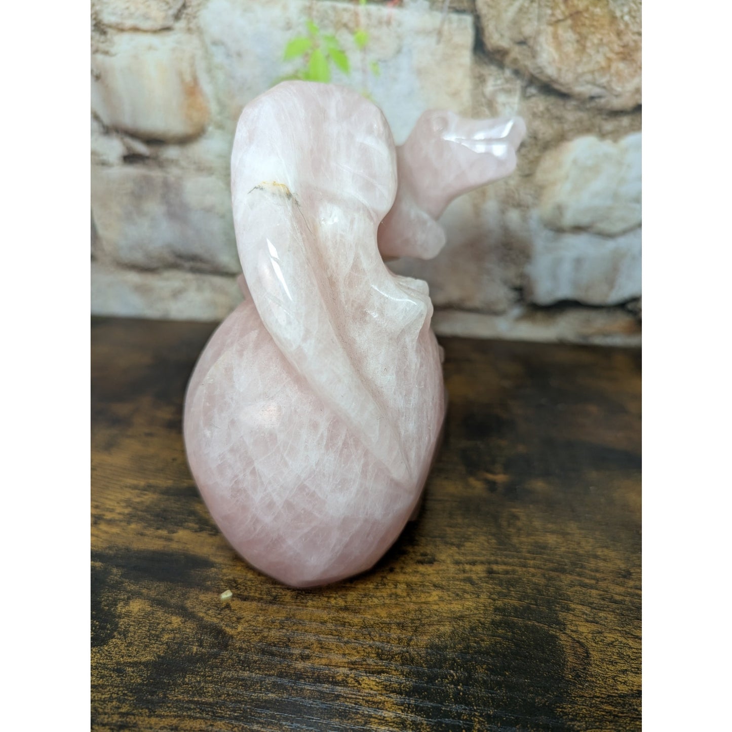 Statement Piece Dinosaur on Skull Rose Quartz crystal carving decoration witchy