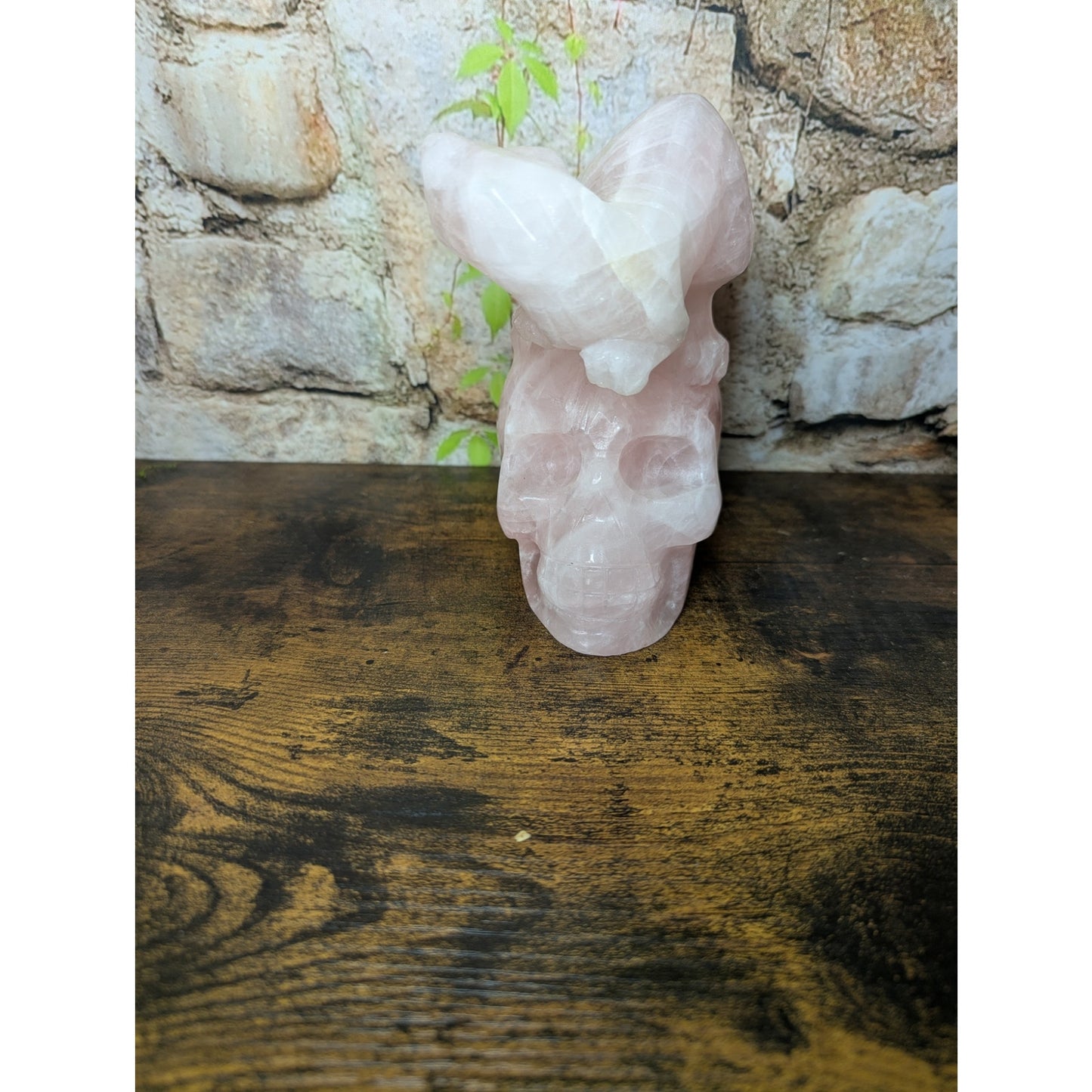 Statement Piece Dinosaur on Skull Rose Quartz crystal carving decoration witchy