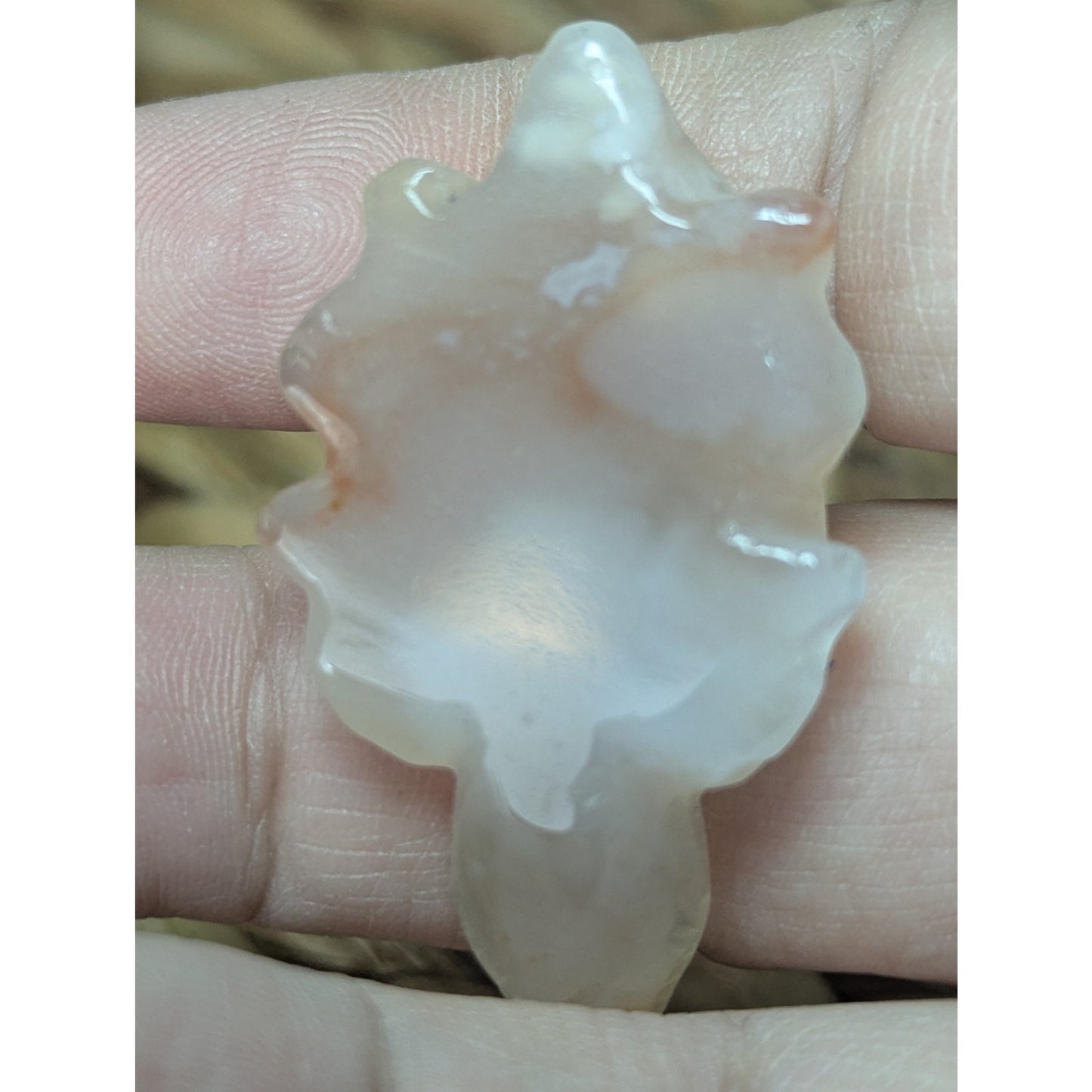 Flower Agate Sea Turtle Crystal Witch Mini Witchy Familiar Quartz Chalcedony