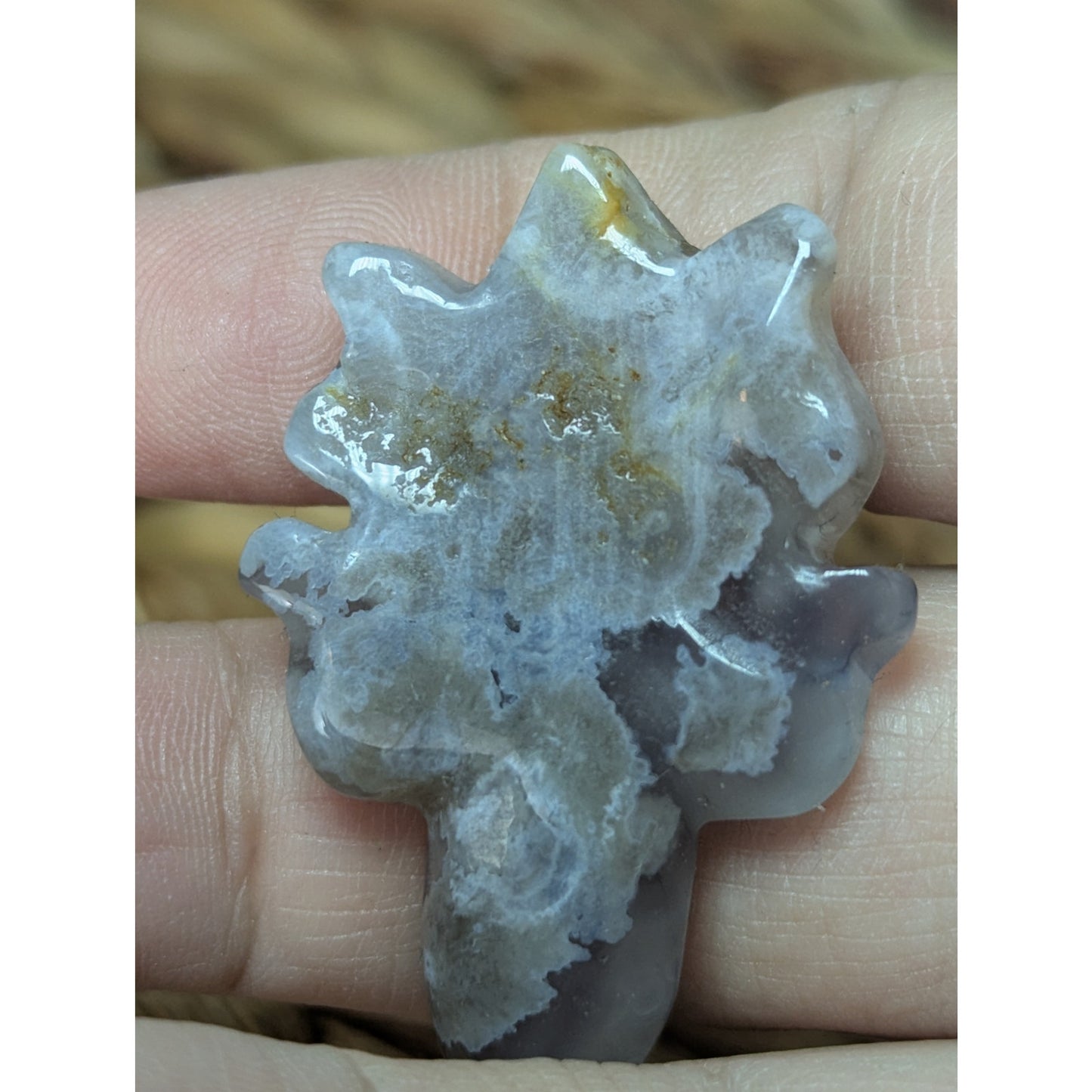 Flower Agate Sea Turtle Crystal Witch Mini Witchy Familiar Quartz Chalcedony