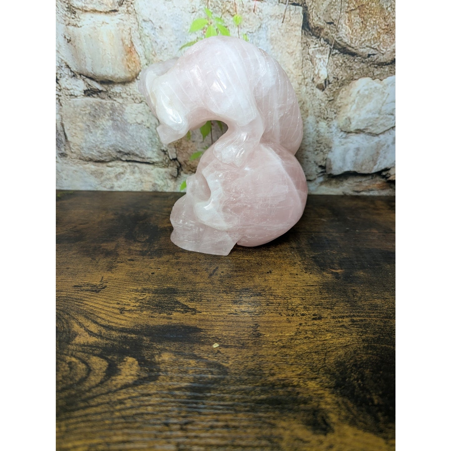 Statement Piece Dinosaur on Skull Rose Quartz crystal carving decoration witchy
