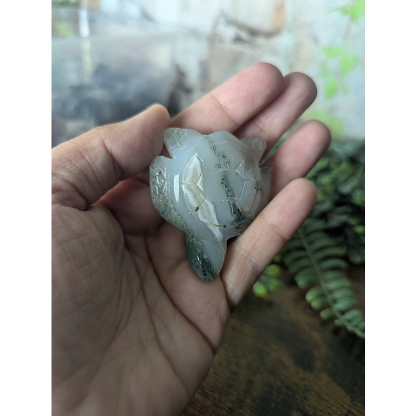 Moss Agate Sea Turtle Crystal Witchy Familiar Summer Beach Metaphysical