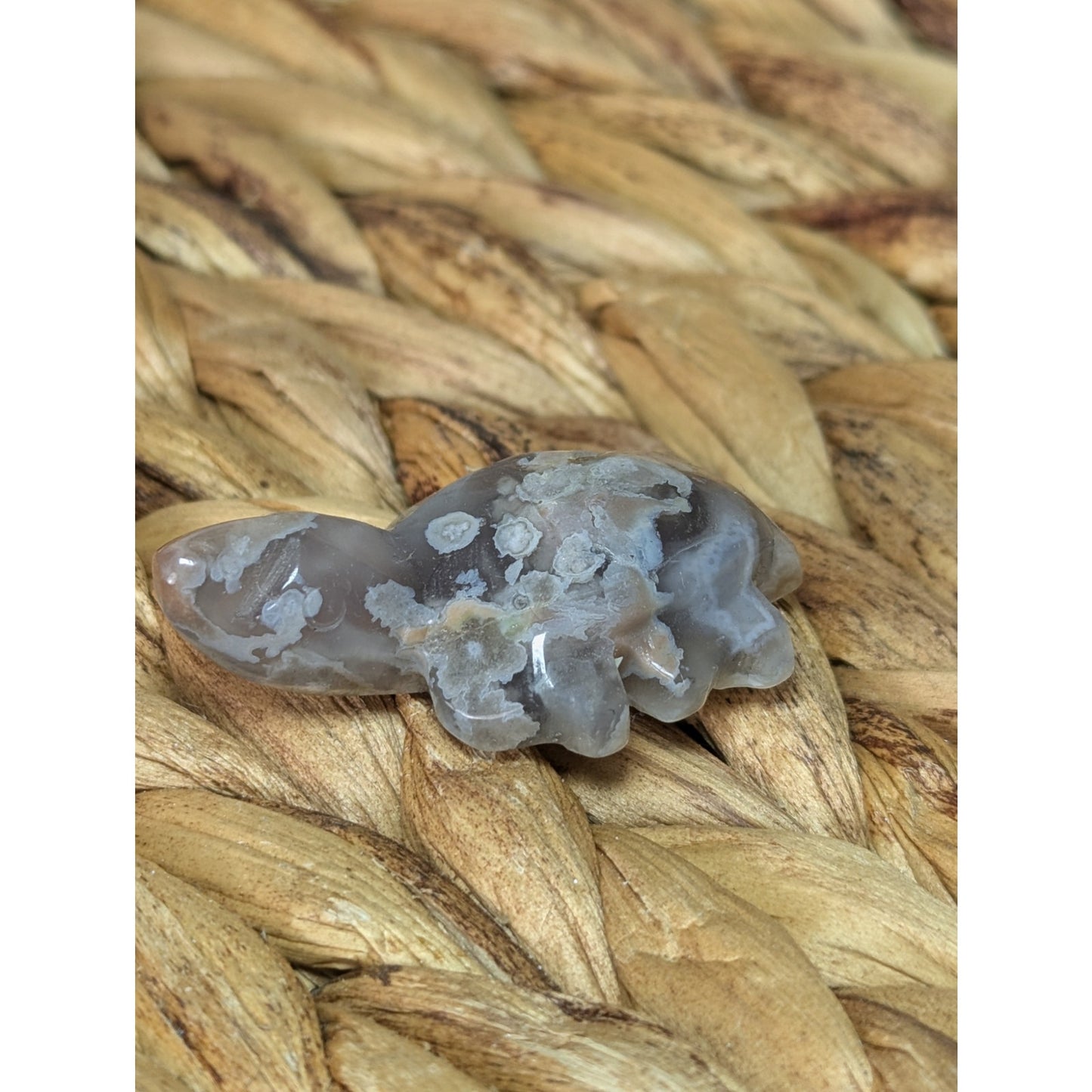 Flower Agate Sea Turtle Crystal Witch Mini Witchy Familiar Quartz Chalcedony