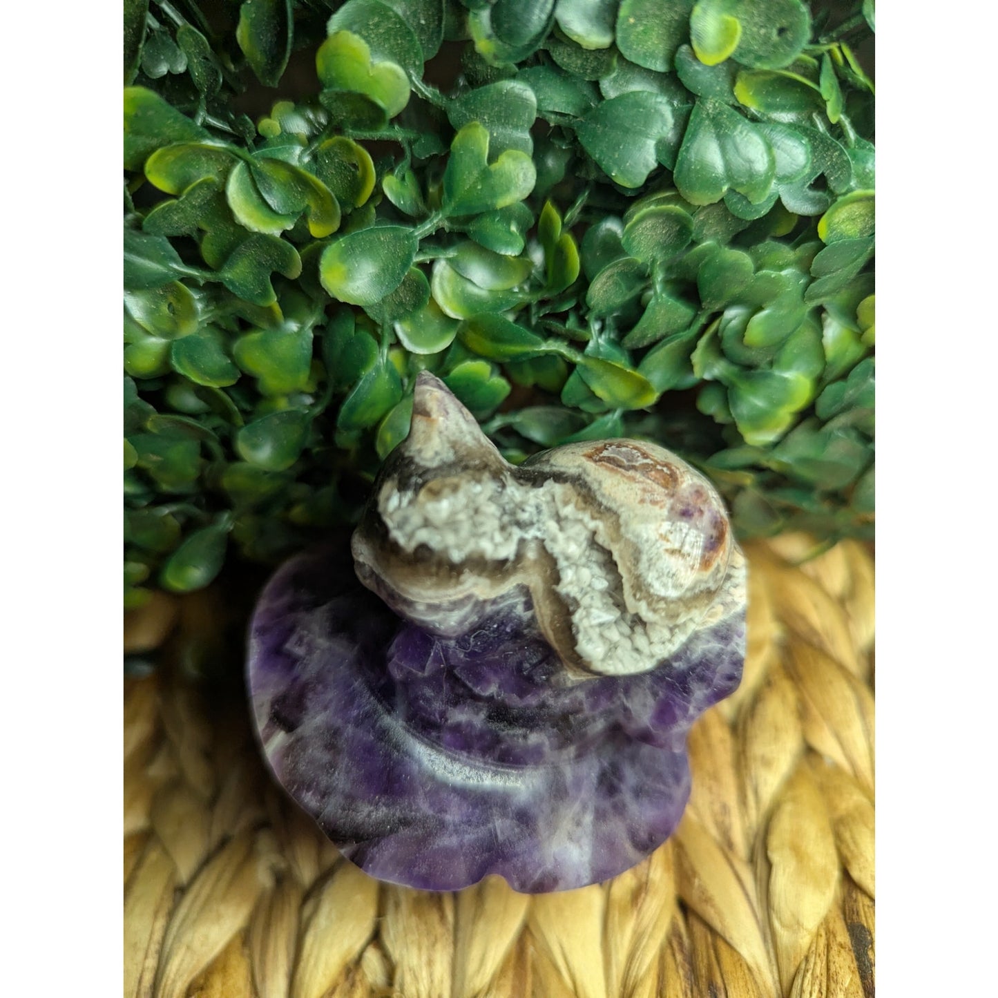 Chevron Amethyst Witch Skull With Cat Crystal Carving Druzy Dream Halloween