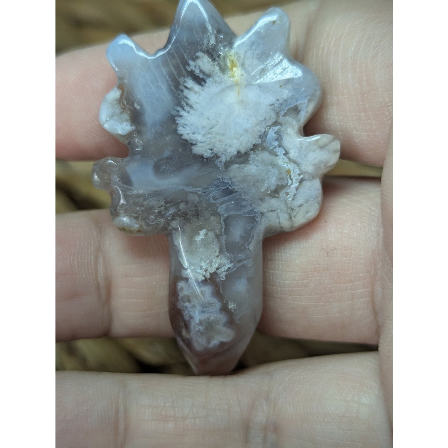 Flower Agate Sea Turtle Crystal Witch Mini Witchy Familiar Quartz Chalcedony