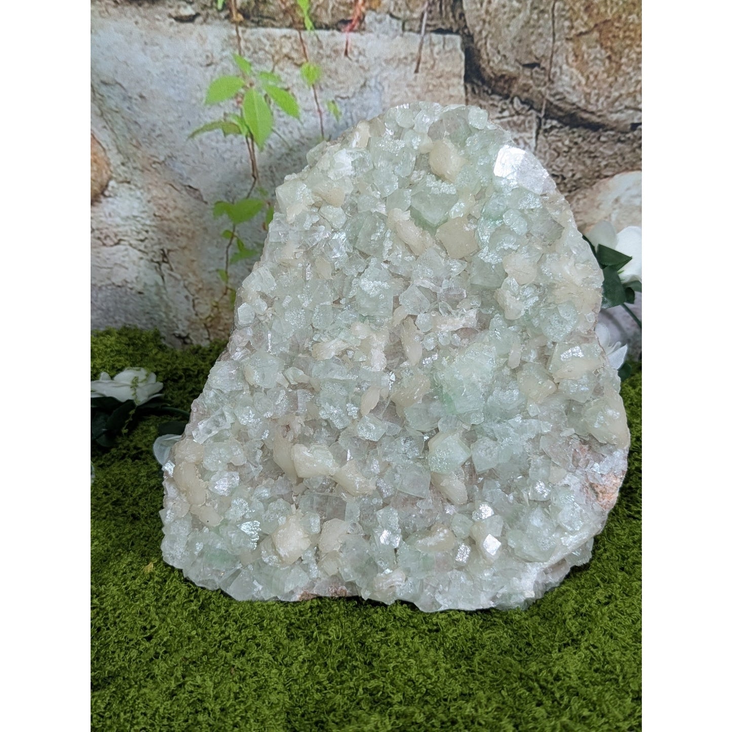 Green and Pink Apophyllite Druzy Specimen India Crystal Cabinet with Stilbite