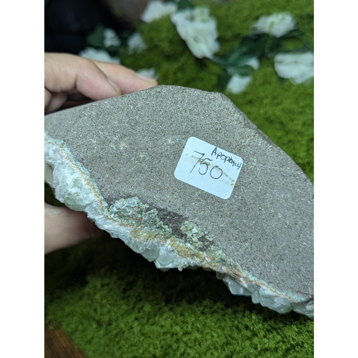 Green and Pink Apophyllite Druzy Specimen India Crystal Cabinet with Stilbite