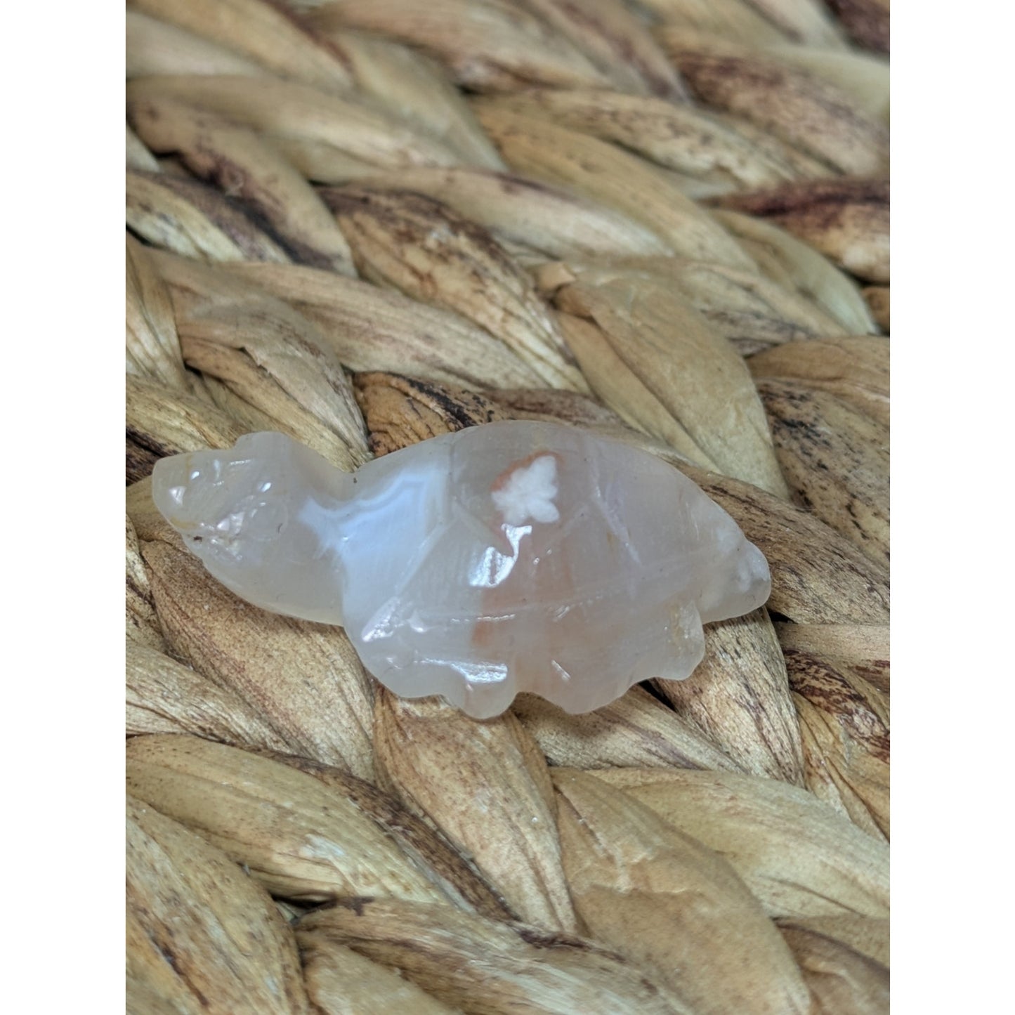 Flower Agate Sea Turtle Crystal Witch Mini Witchy Familiar Quartz Chalcedony