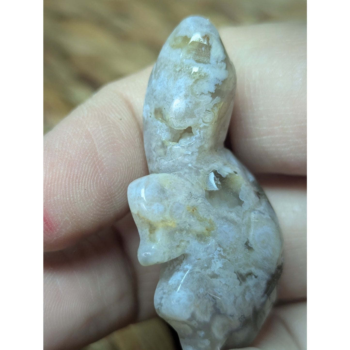 Flower Agate Sea Turtle Crystal Witch Mini Witchy Familiar Quartz Chalcedony