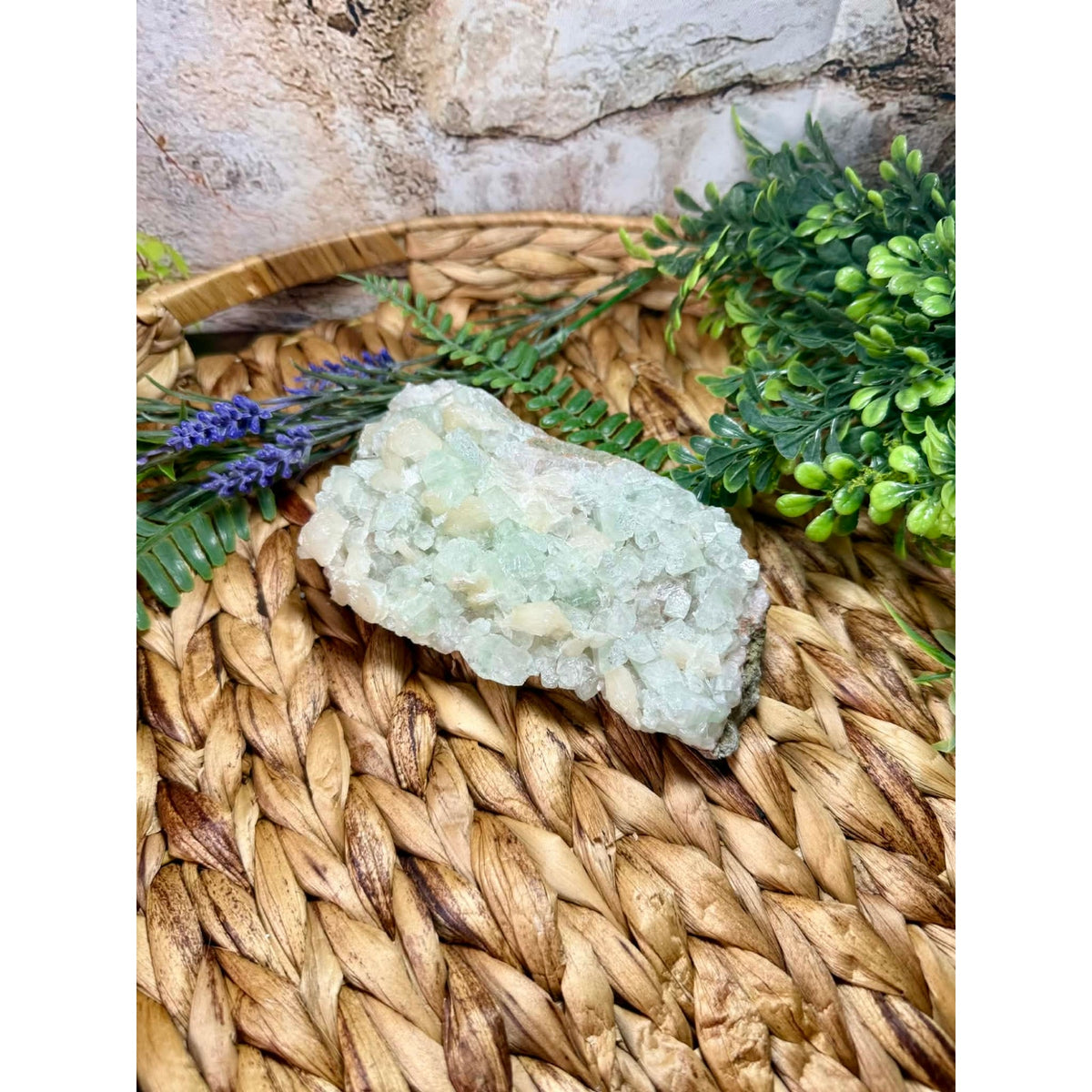 Raw Natural Apophyllite Specimen Cabinet Piece Druzy Sparkly Green Pink Crystal