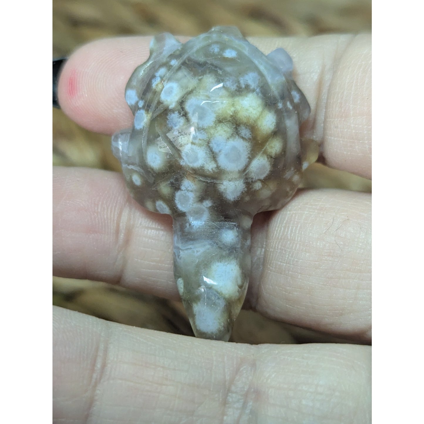 Flower Agate Sea Turtle Crystal Witch Mini Witchy Familiar Quartz Chalcedony