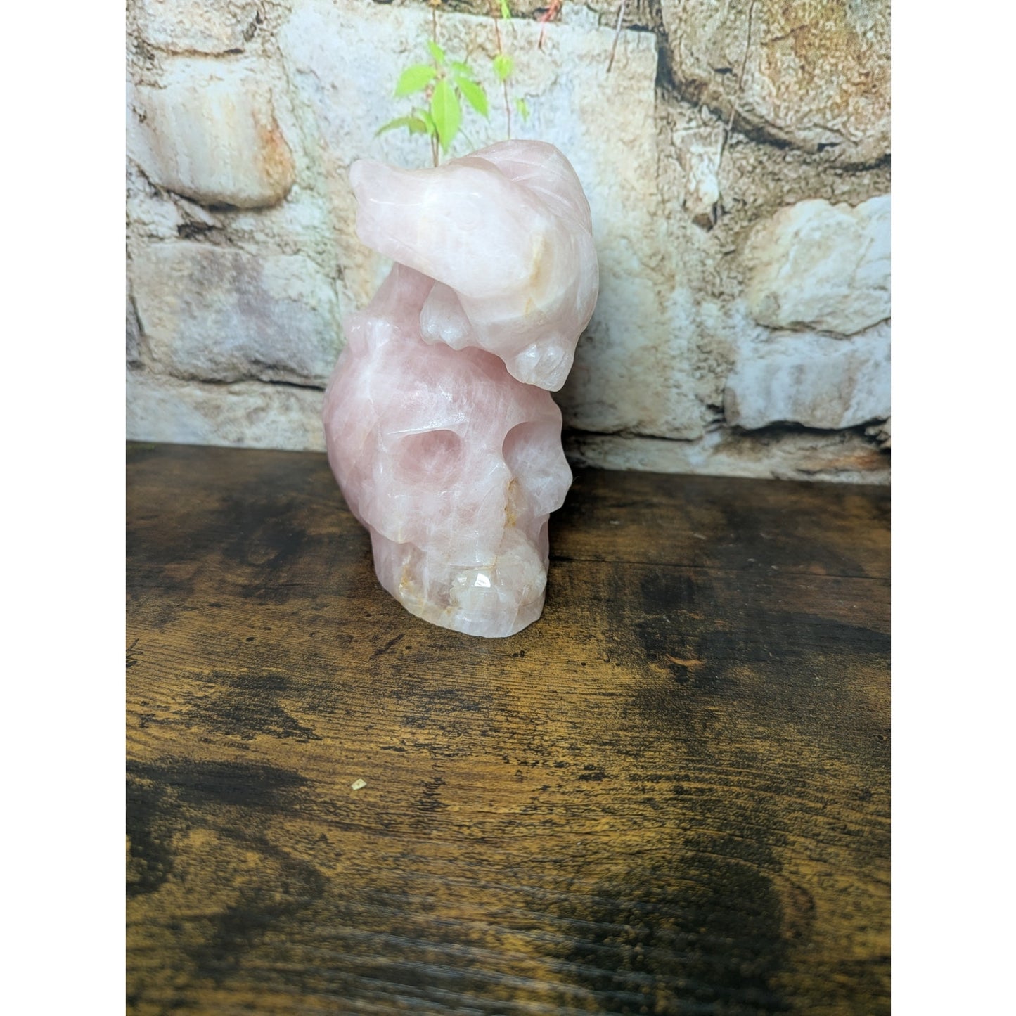 Statement Piece Dinosaur on Skull Rose Quartz crystal carving decoration witchy