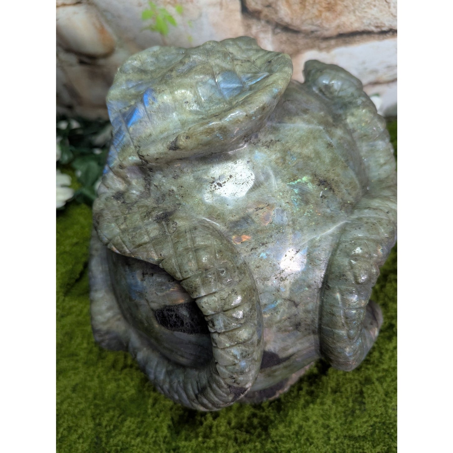 Massive Labradorite Skull with Cobra Blue Flash Crystal Statement Piece Goth