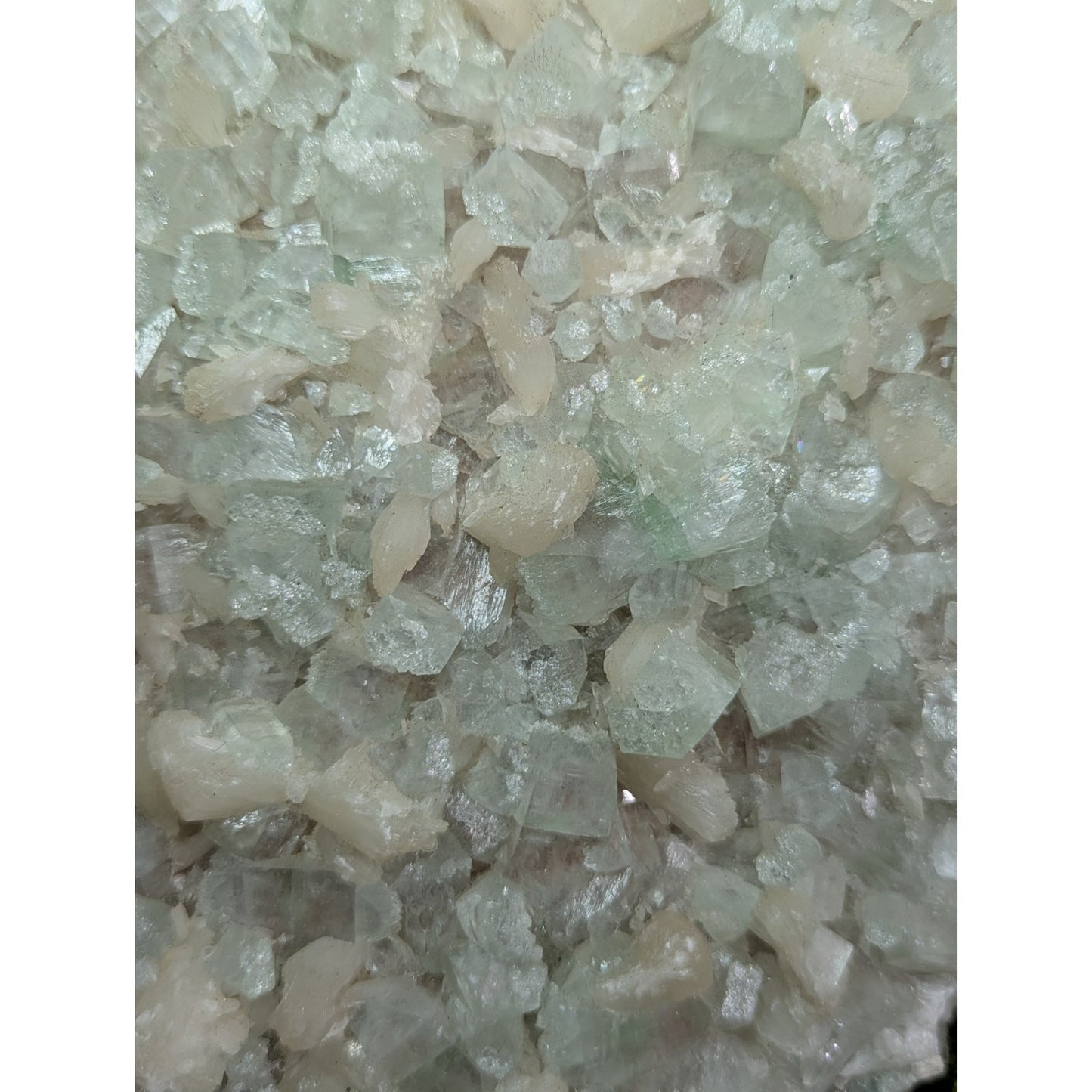 Green and Pink Apophyllite Druzy Specimen India Crystal Cabinet with Stilbite