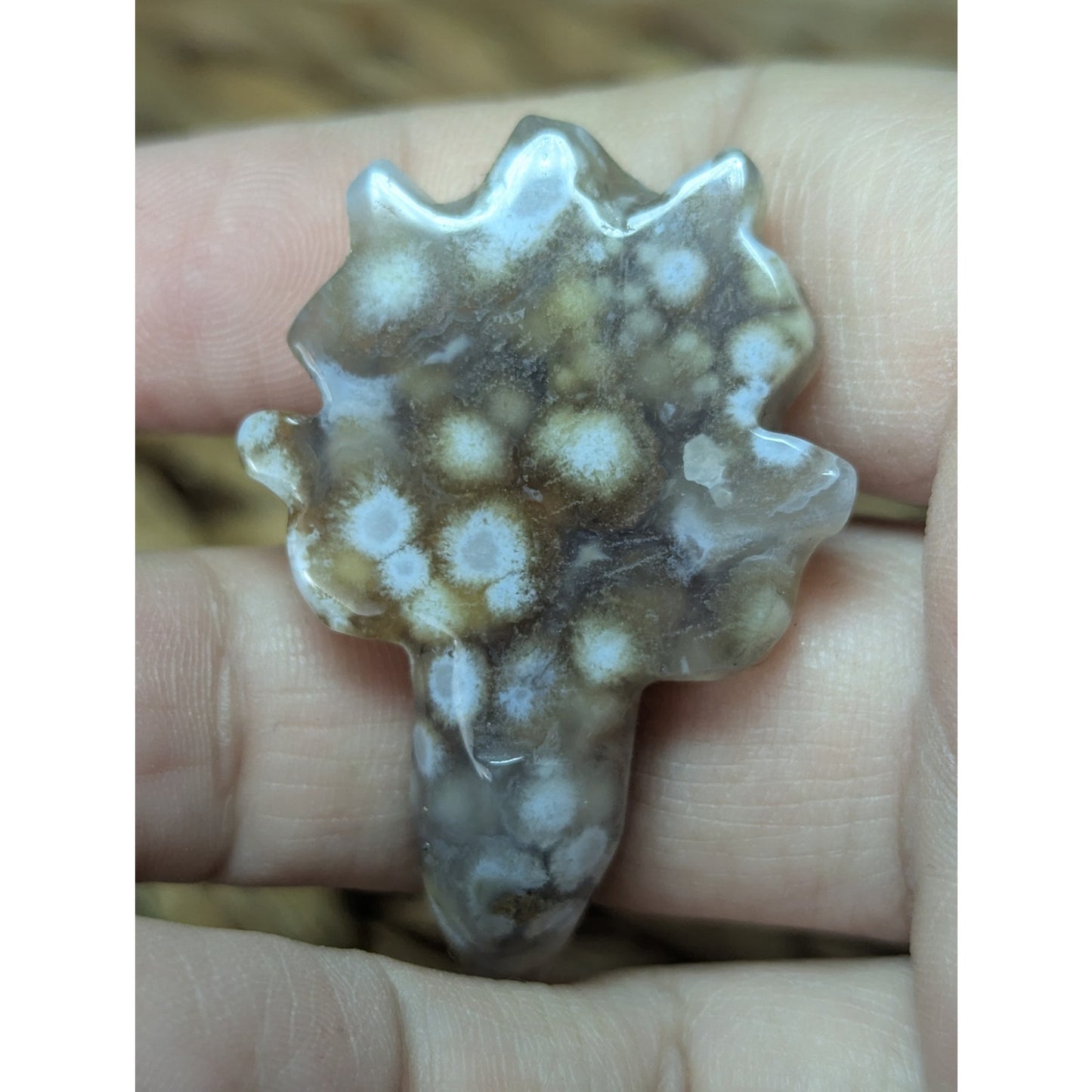 Flower Agate Sea Turtle Crystal Witch Mini Witchy Familiar Quartz Chalcedony