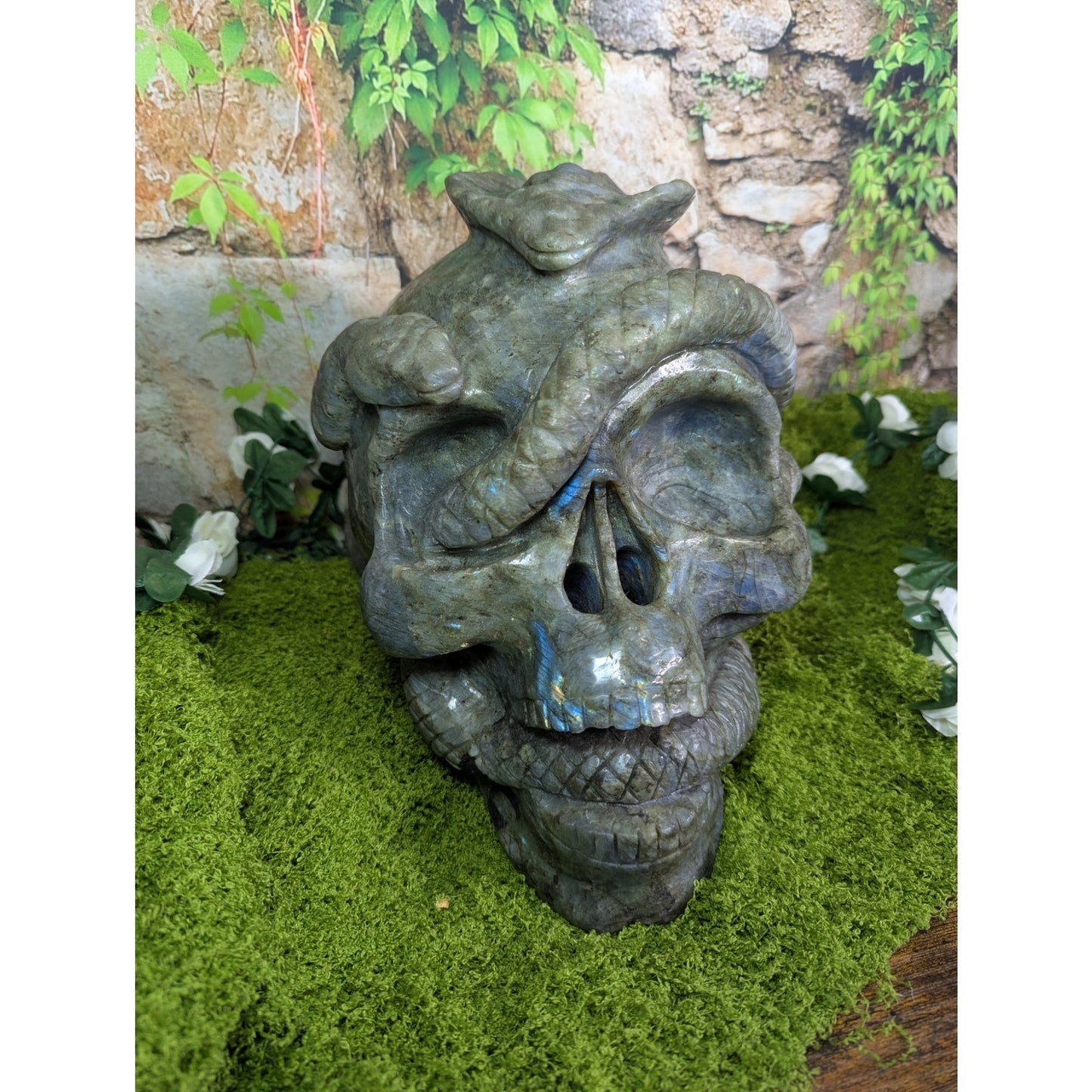 Massive Labradorite Skull with Cobra Blue Flash Crystal Statement Piece Goth