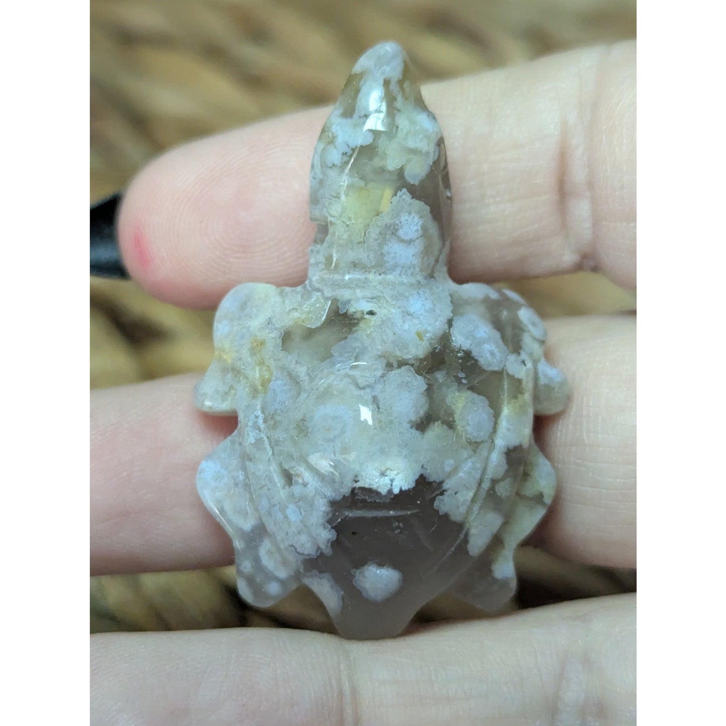 Flower Agate Sea Turtle Crystal Witch Mini Witchy Familiar Quartz Chalcedony