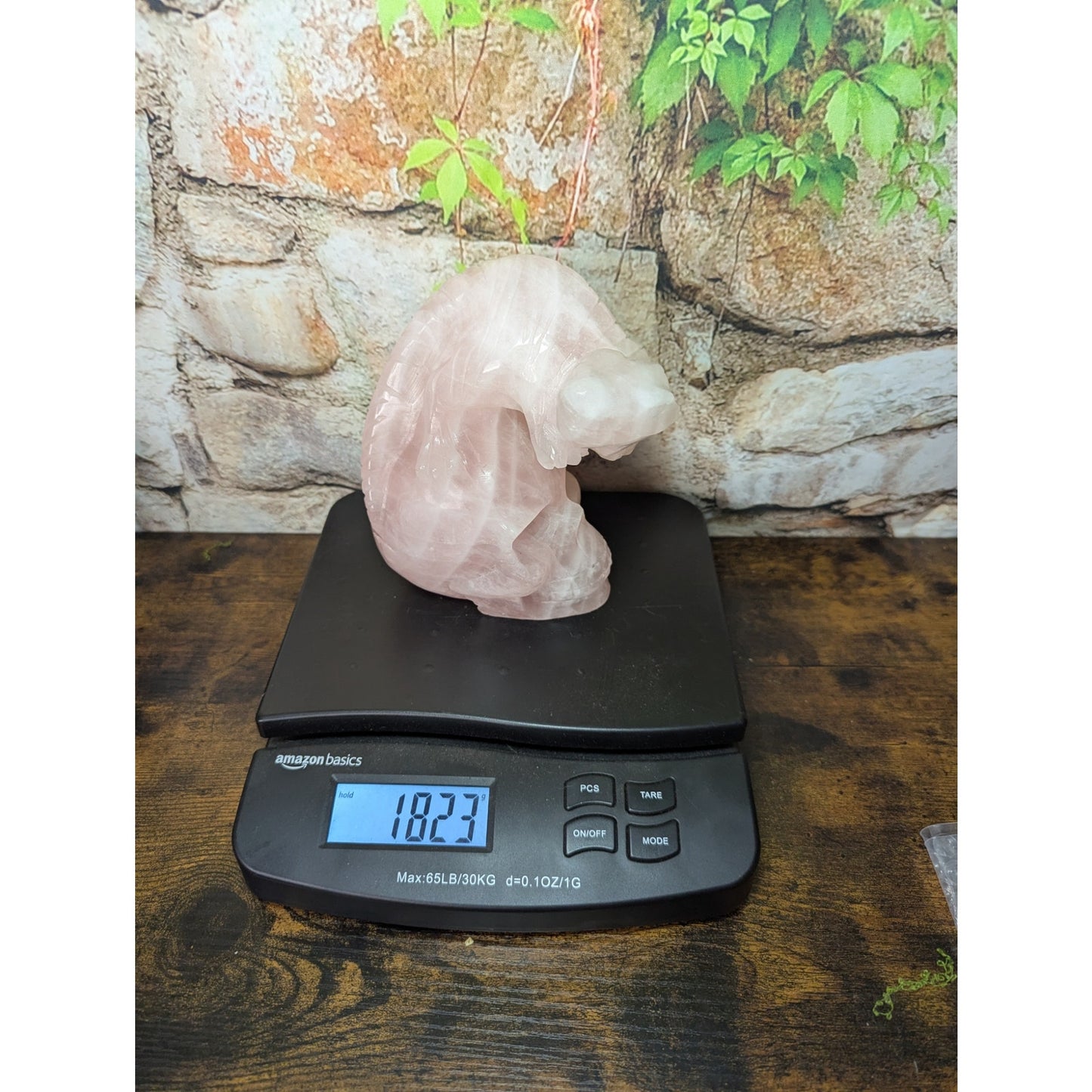 Statement Piece Dinosaur on Skull Rose Quartz crystal carving decoration witchy