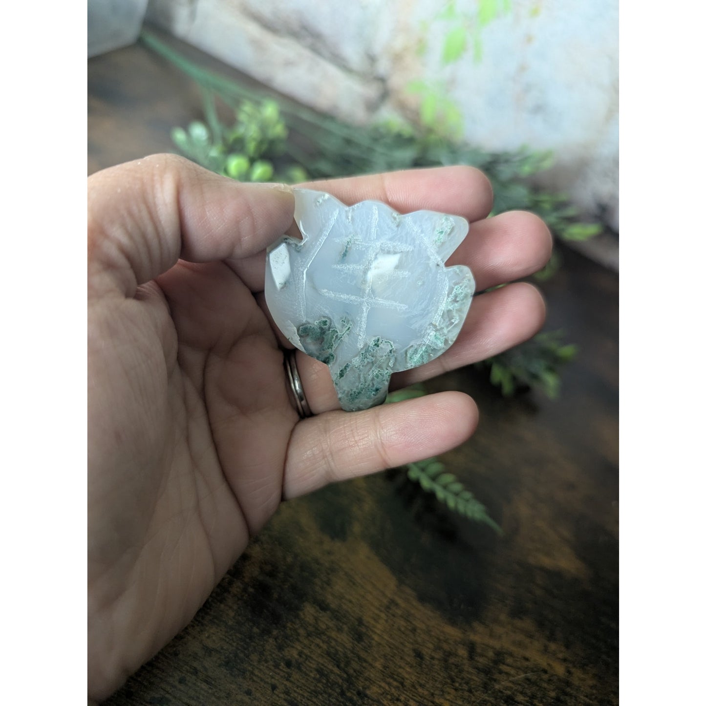Moss Agate Sea Turtle Crystal Witchy Familiar Summer Beach Metaphysical