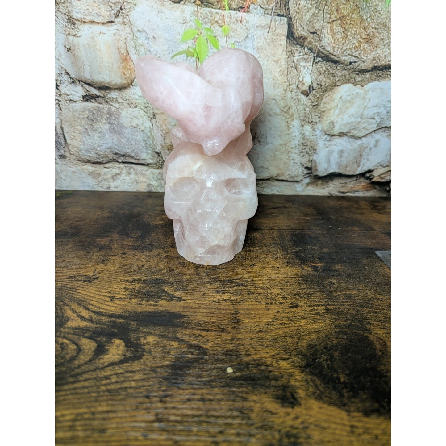 Statement Piece Dinosaur on Skull Rose Quartz crystal carving decoration witchy