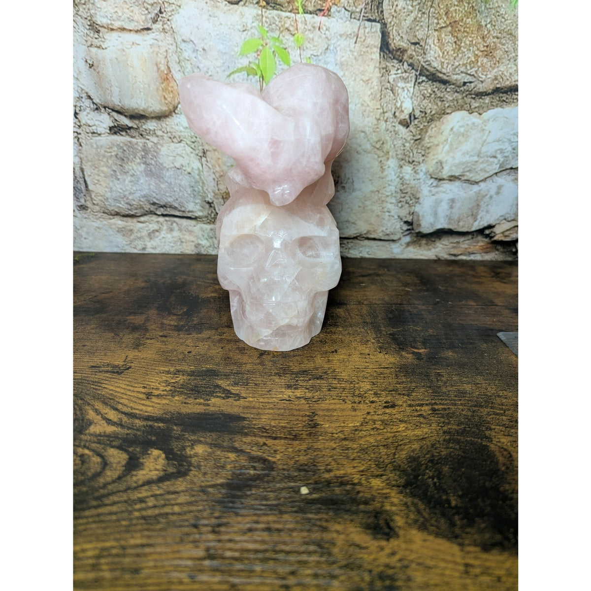 Statement Piece Dinosaur on Skull Rose Quartz crystal carving decoration witchy