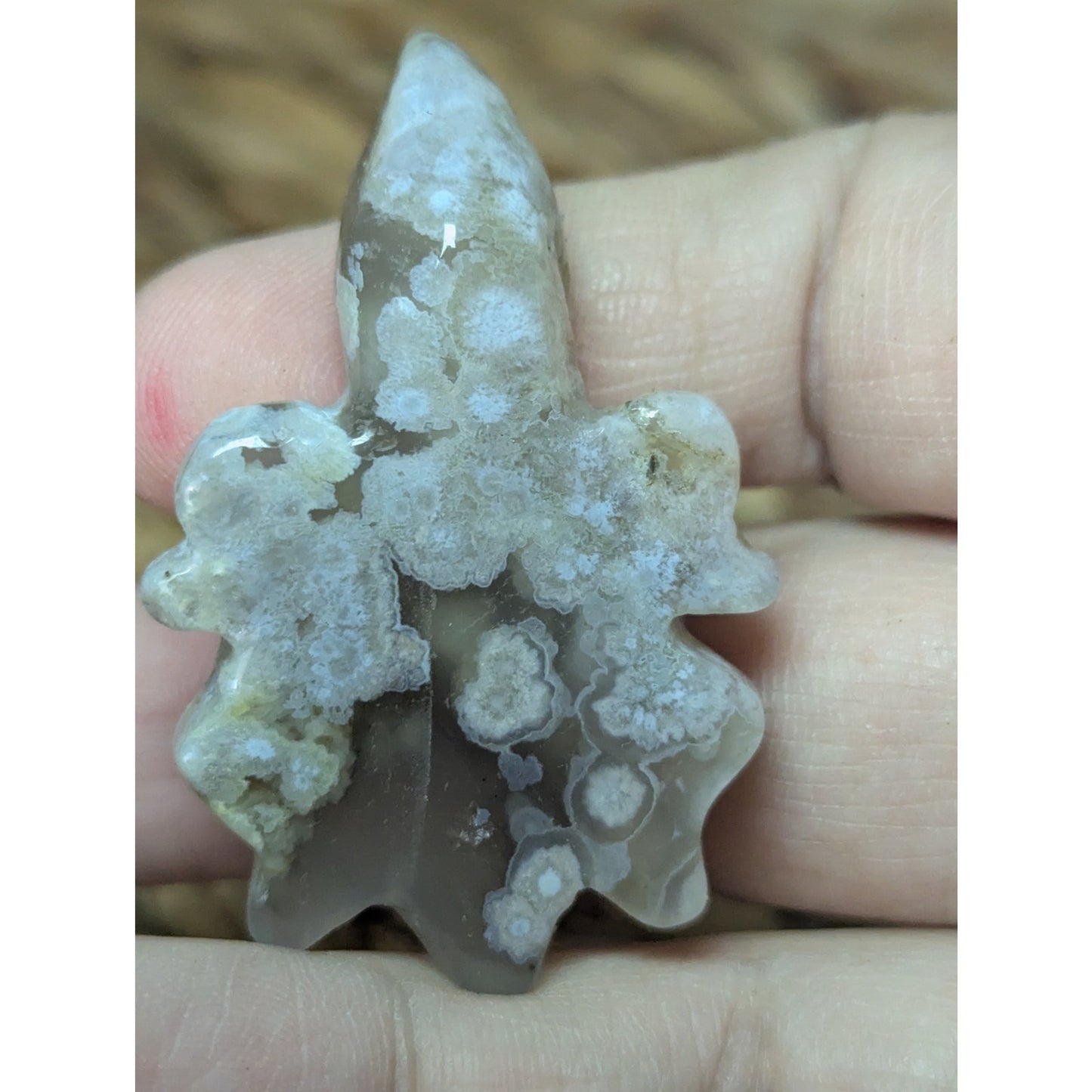 Flower Agate Sea Turtle Crystal Witch Mini Witchy Familiar Quartz Chalcedony