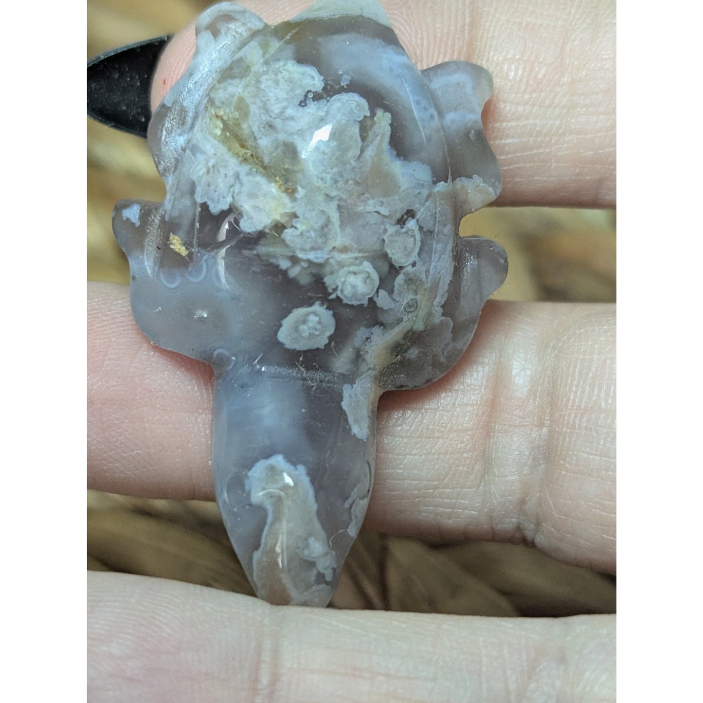 Flower Agate Sea Turtle Crystal Witch Mini Witchy Familiar Quartz Chalcedony