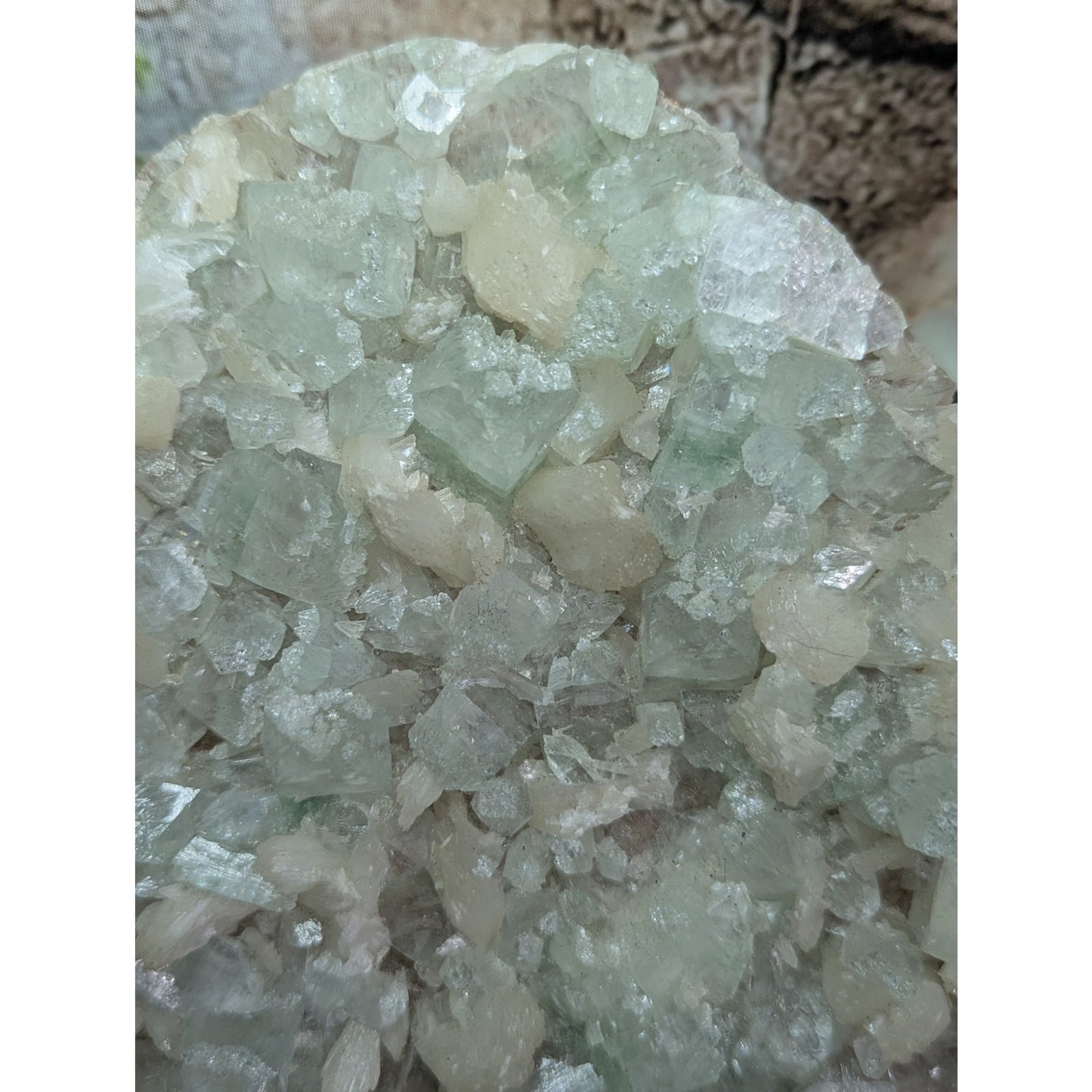 Green and Pink Apophyllite Druzy Specimen India Crystal Cabinet with Stilbite