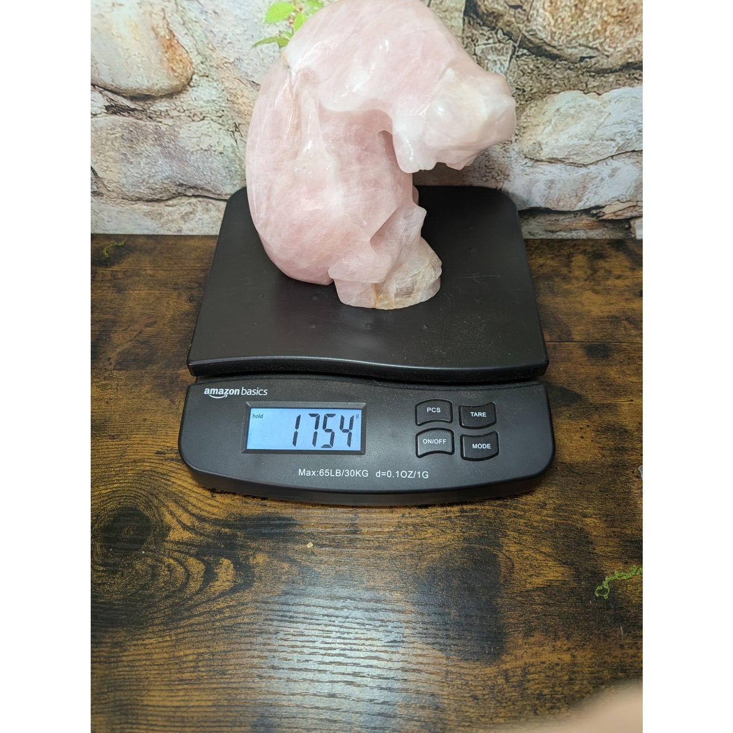 Statement Piece Dinosaur on Skull Rose Quartz crystal carving decoration witchy
