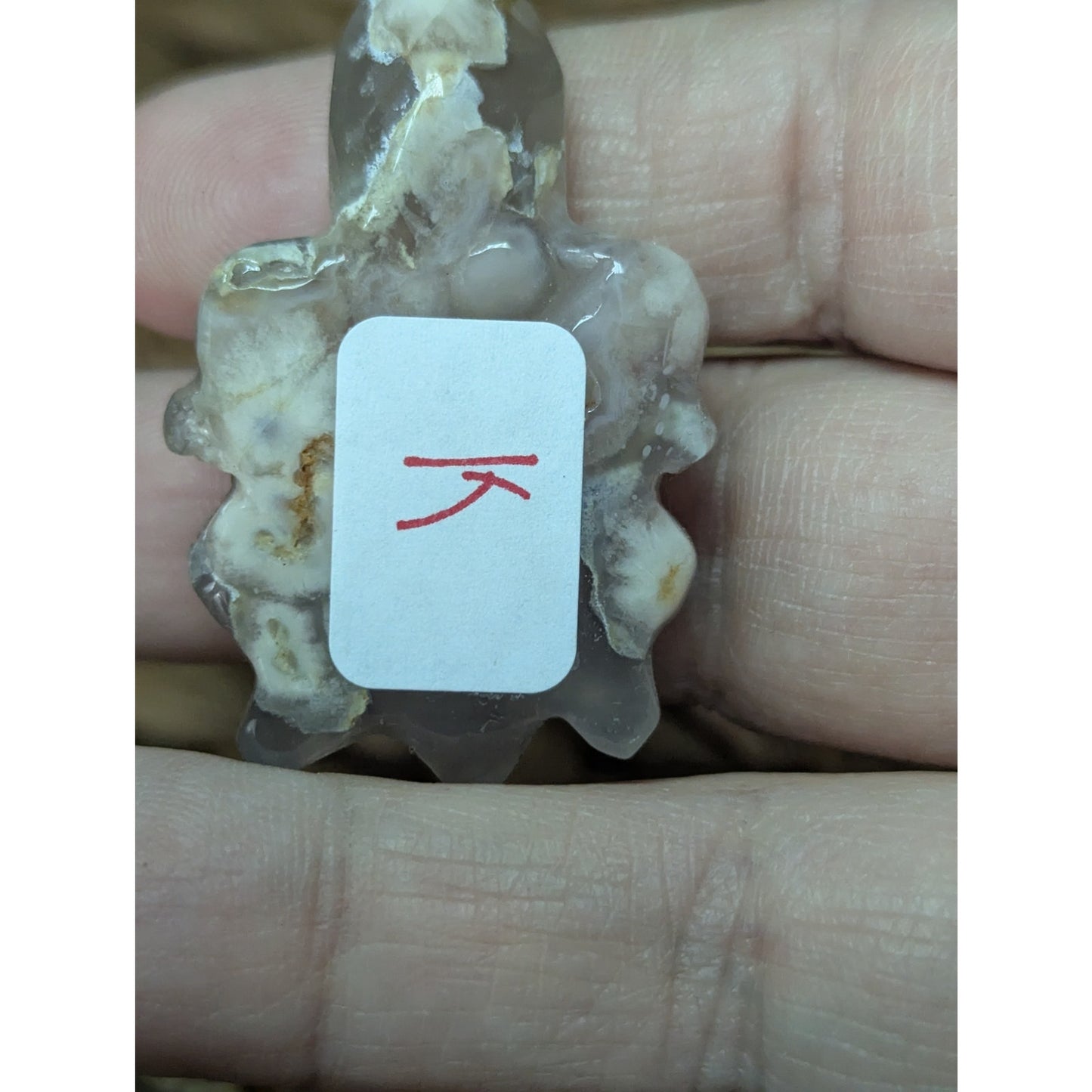 Flower Agate Sea Turtle Crystal Witch Mini Witchy Familiar Quartz Chalcedony
