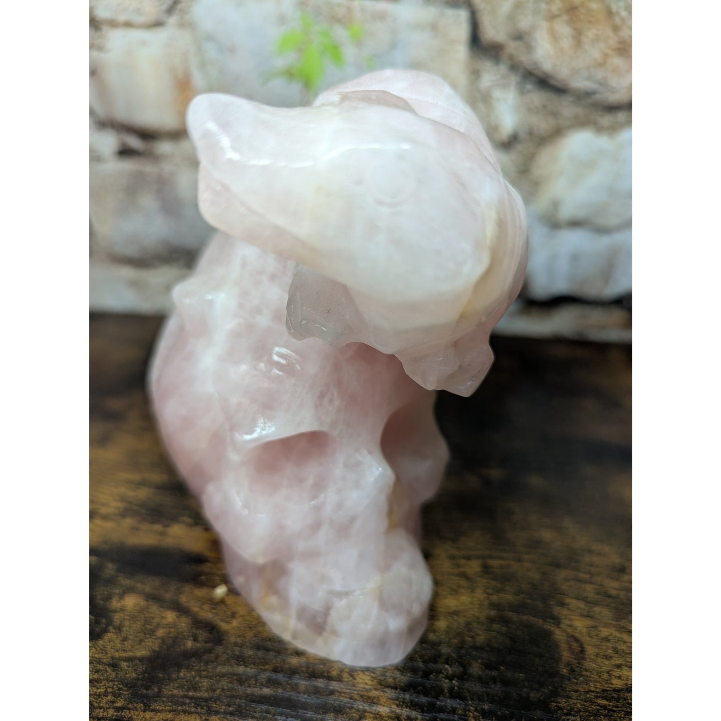 Statement Piece Dinosaur on Skull Rose Quartz crystal carving decoration witchy