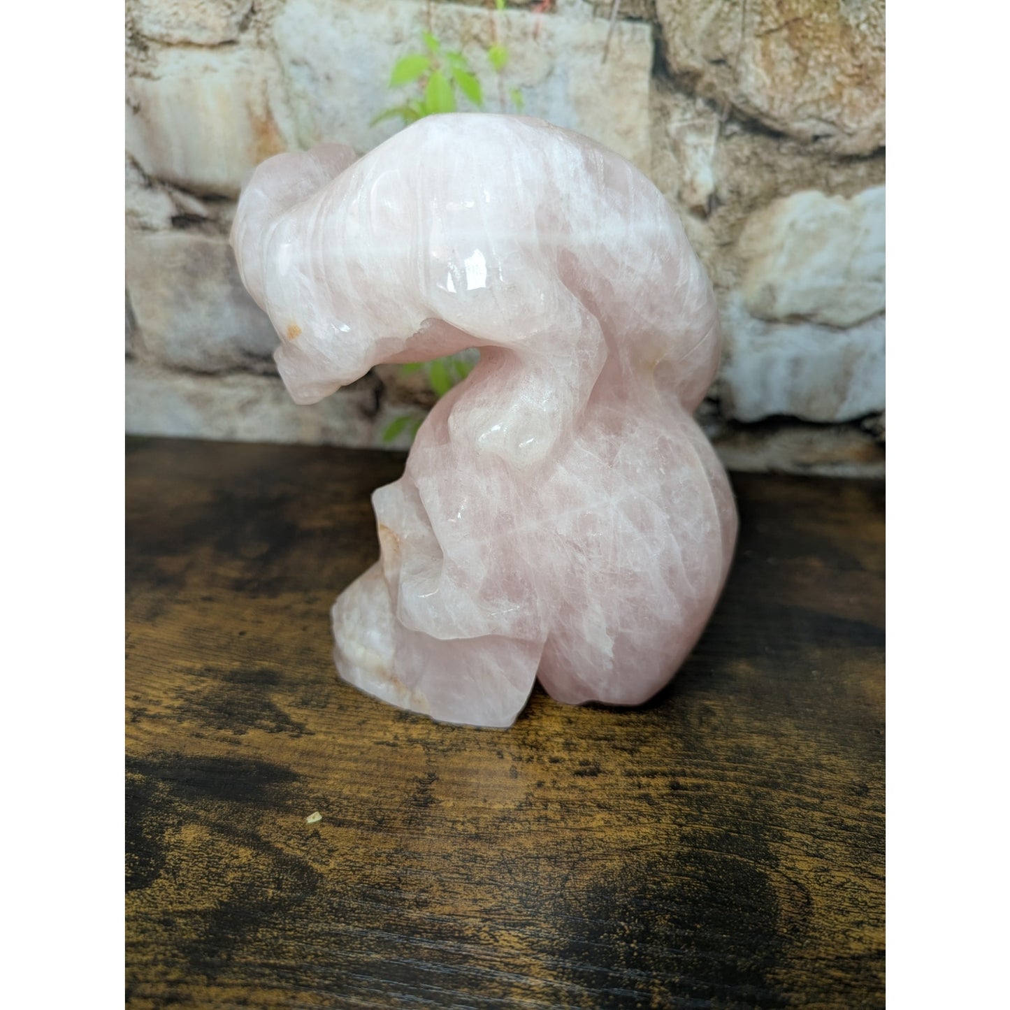 Statement Piece Dinosaur on Skull Rose Quartz crystal carving decoration witchy