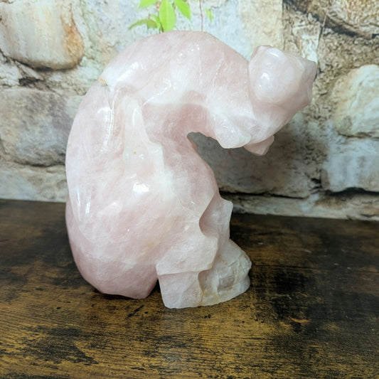 Statement Piece Dinosaur on Skull Rose Quartz crystal carving decoration witchy