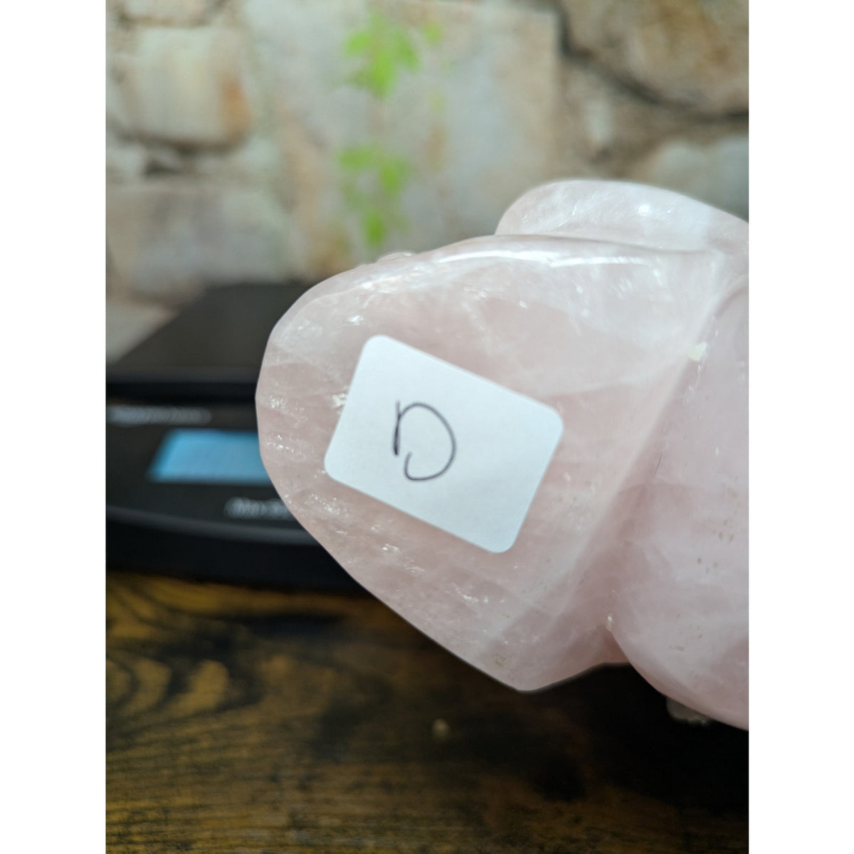 Statement Sized Gargoyle on Skull Rose Quartz crystal carving decoration witch