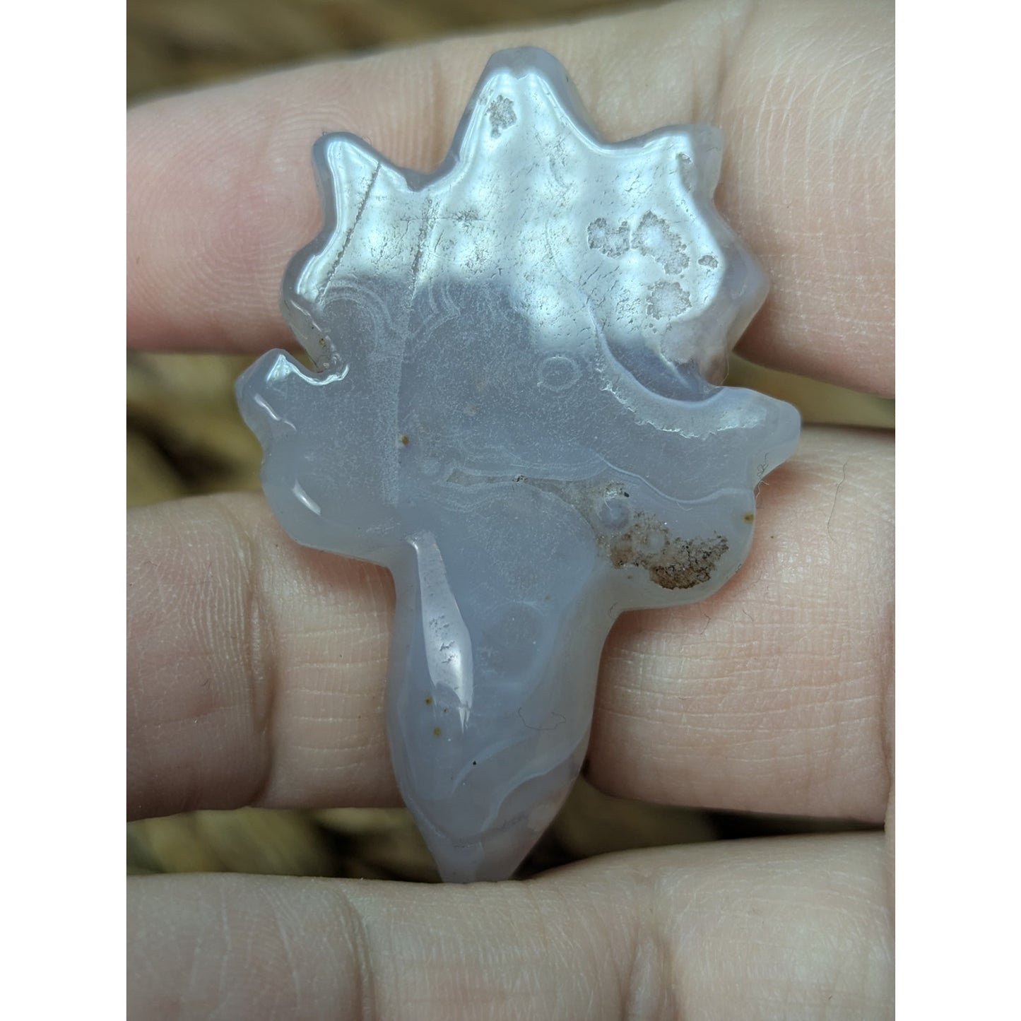 Flower Agate Sea Turtle Crystal Witch Mini Witchy Familiar Quartz Chalcedony